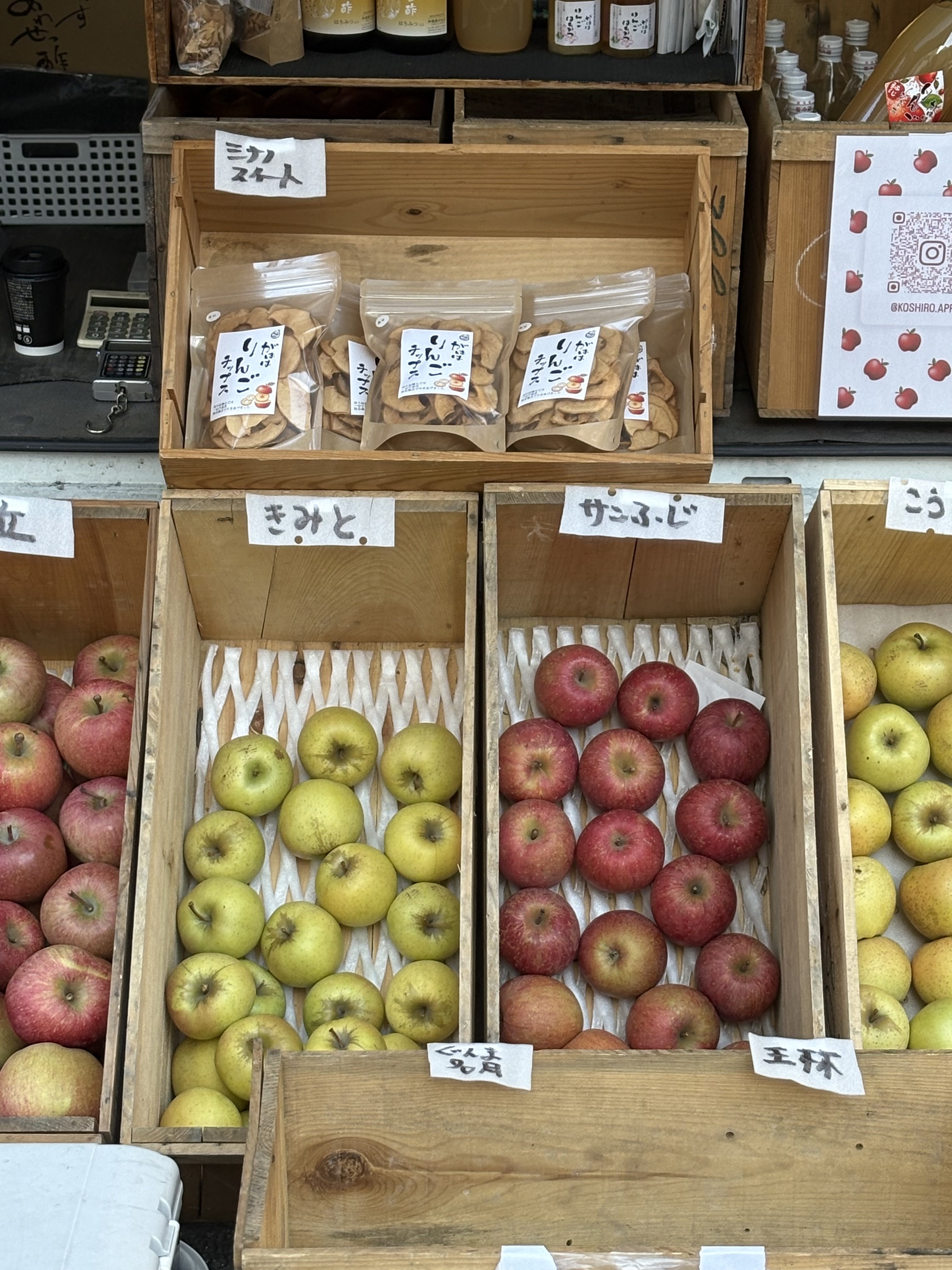 見てください！！これが美味しいです。と、りんごが語りかけてくれてるように輝いているリンゴ。