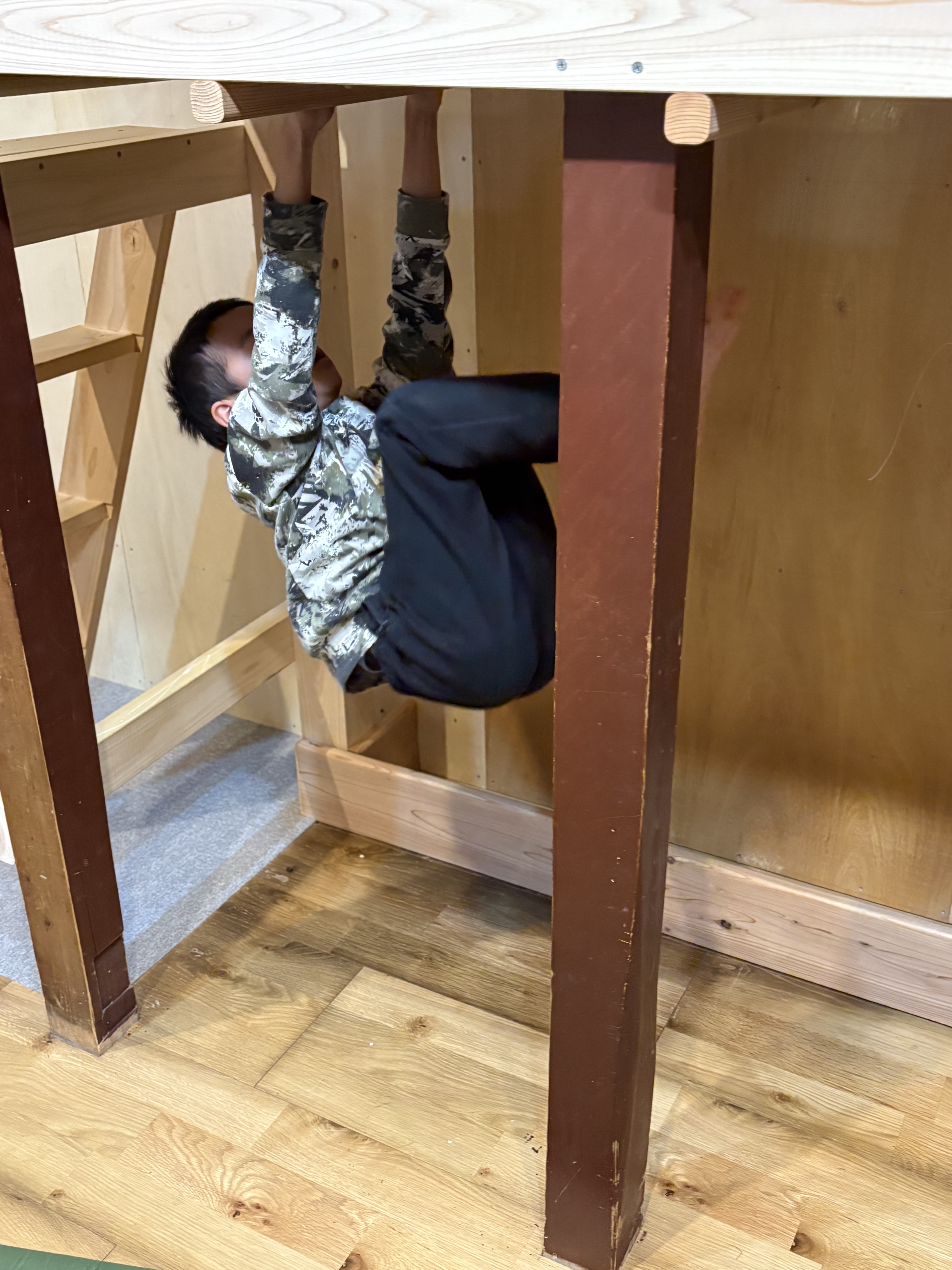 次は足を引っ掛けてぶら下がる様子。