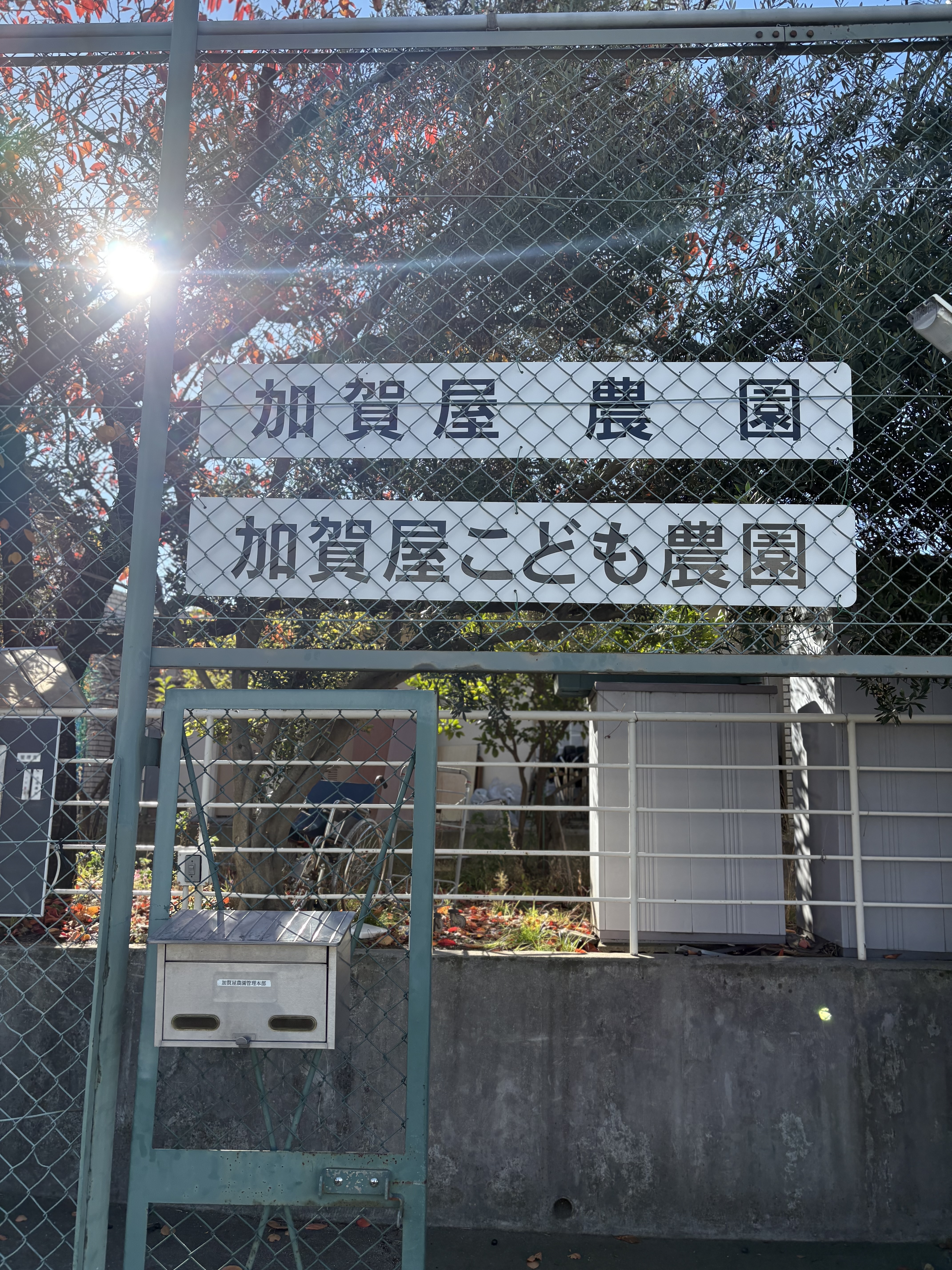 地域のご厚意で、加賀屋農園にて芋掘り体験ができました。