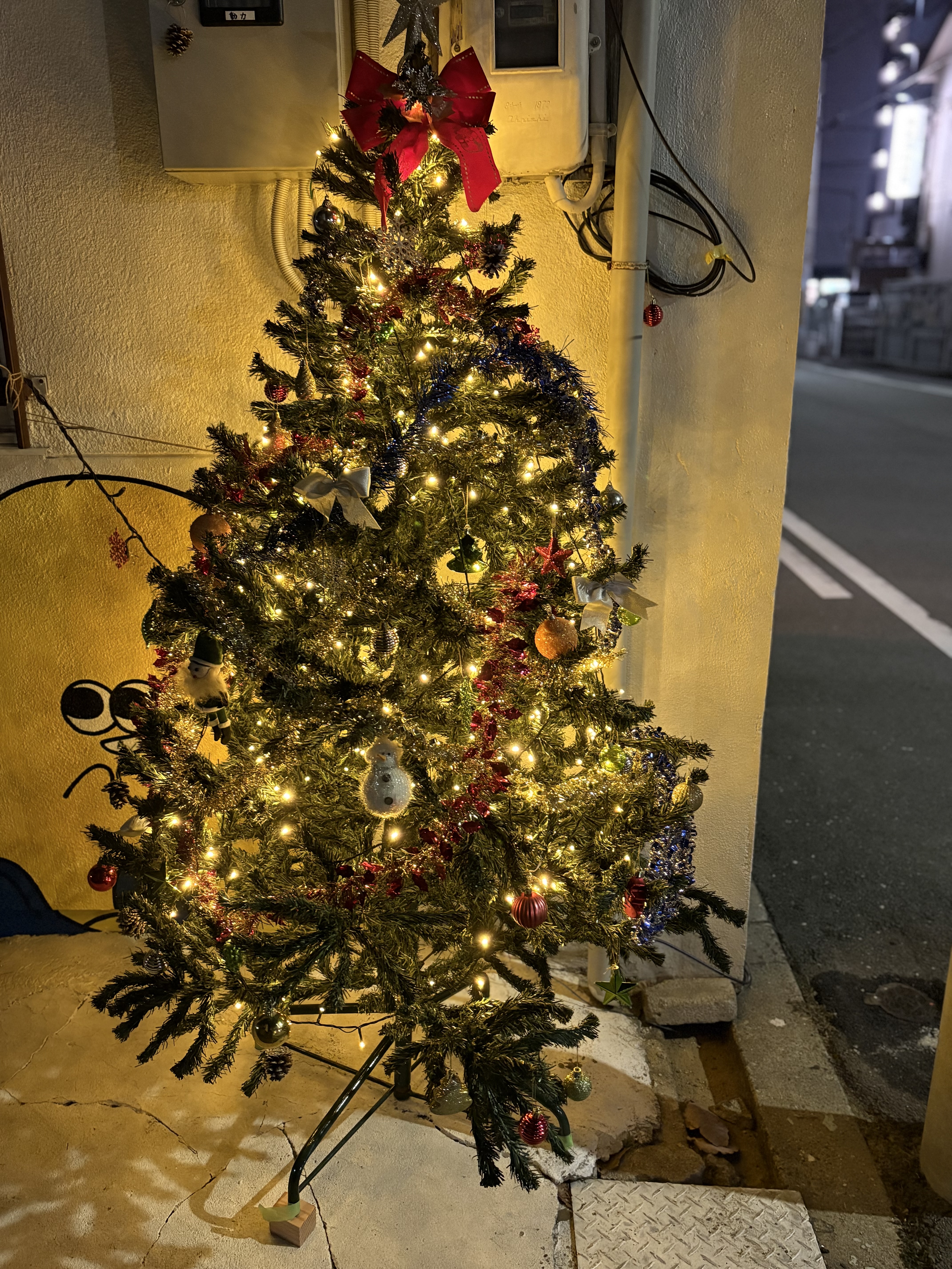 夜の帳が降りた中、スレタンハウスの玄関先で温かく灯り、地域や夜道を照らしているクリスマスツリーの光景