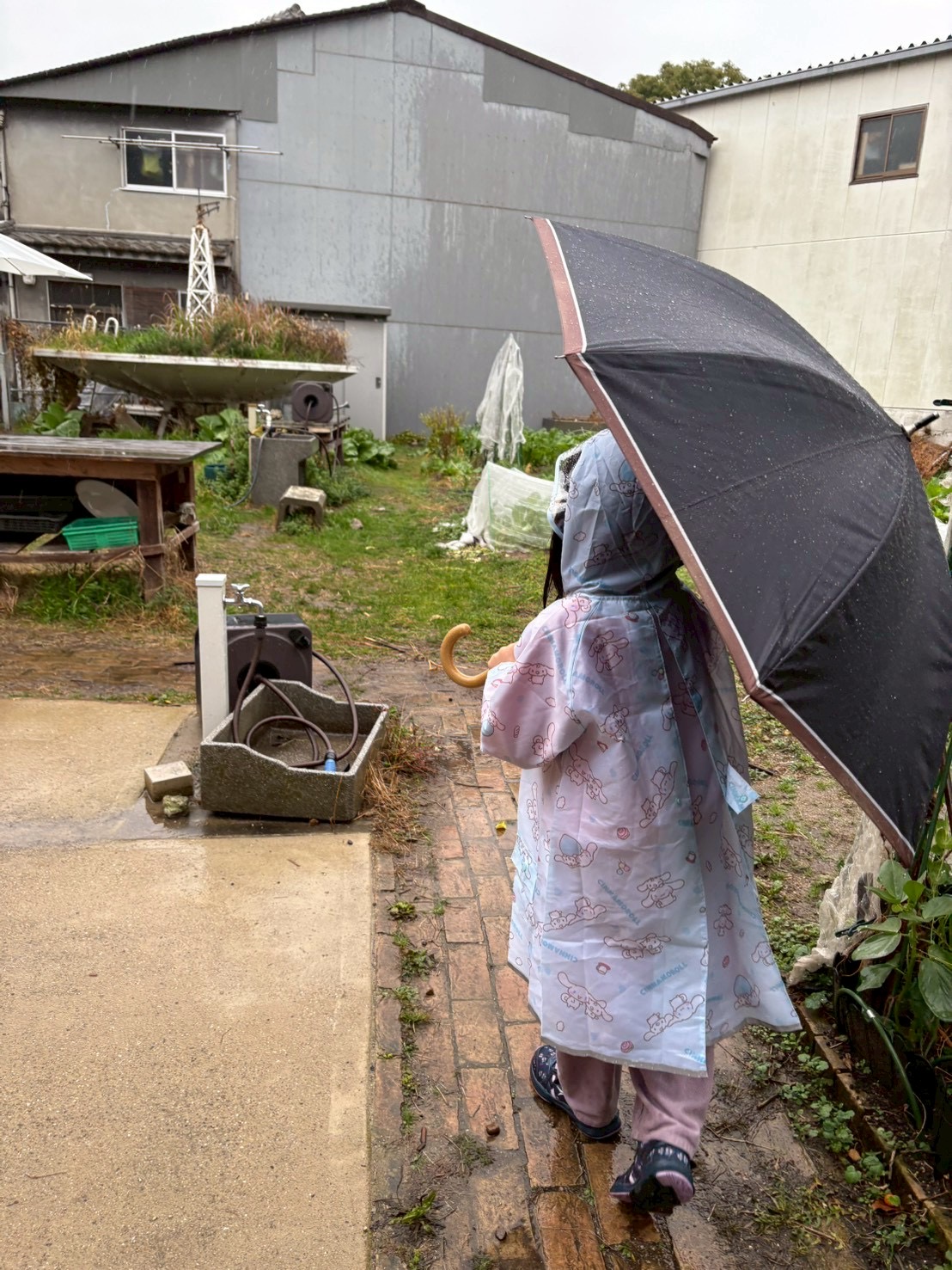 スレタンハウスから、雨が降る中傘をさして歩いて到着したのが、北加賀屋のみんなのうえんです。