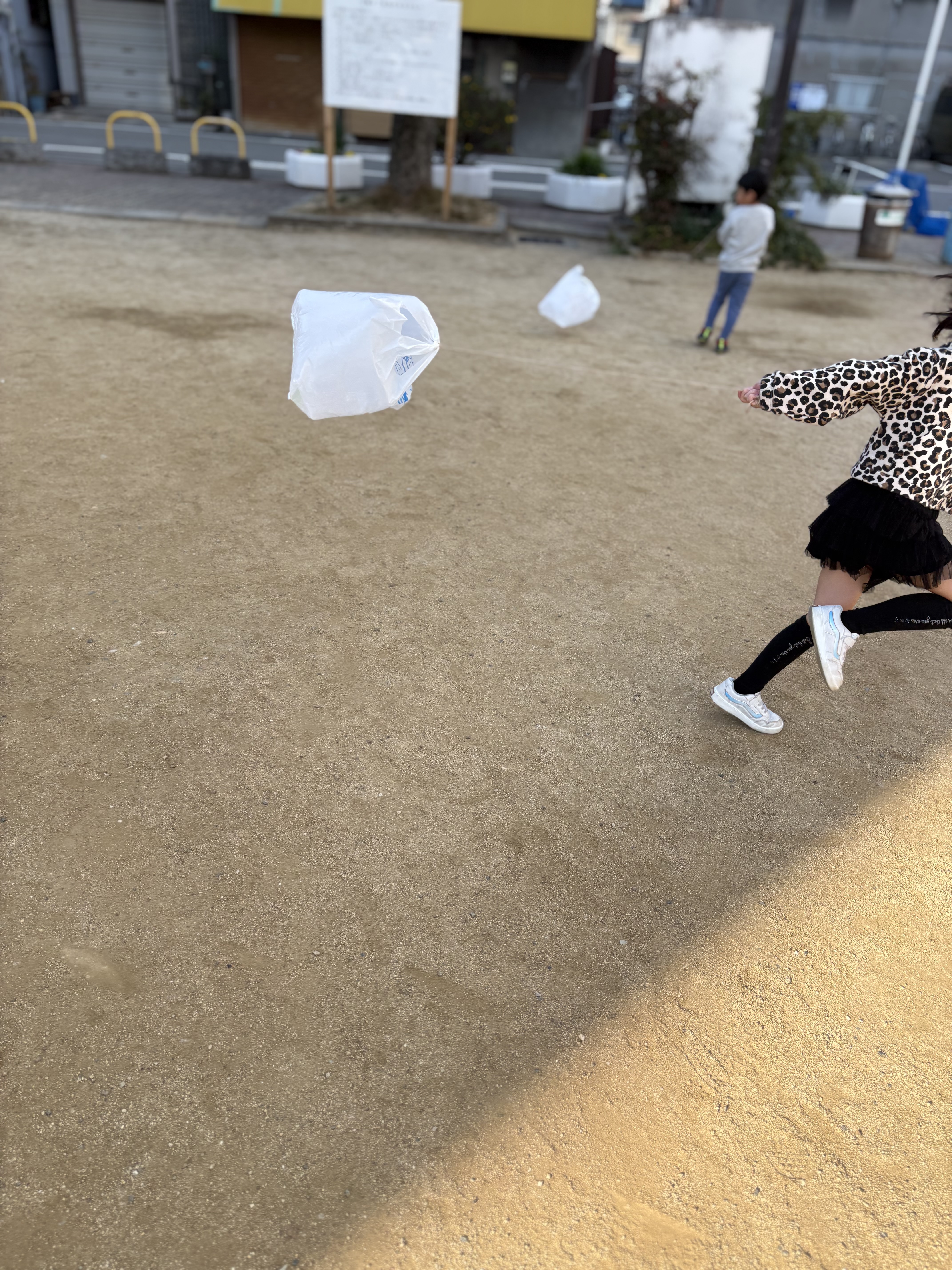 早く走るから見といてと、全力で何回も走る姿が微笑ましい様子。