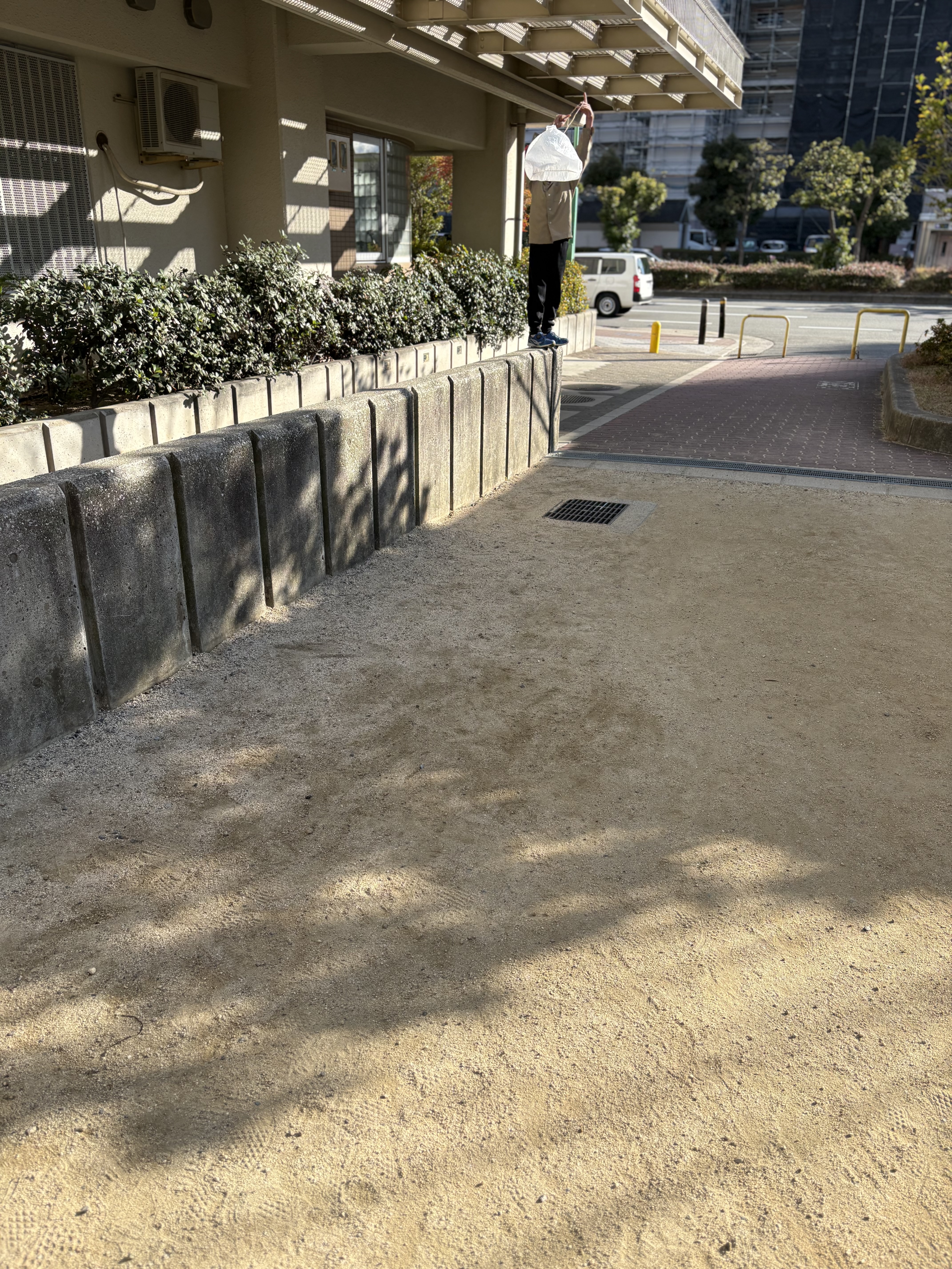 高いところに登って風を感じる。