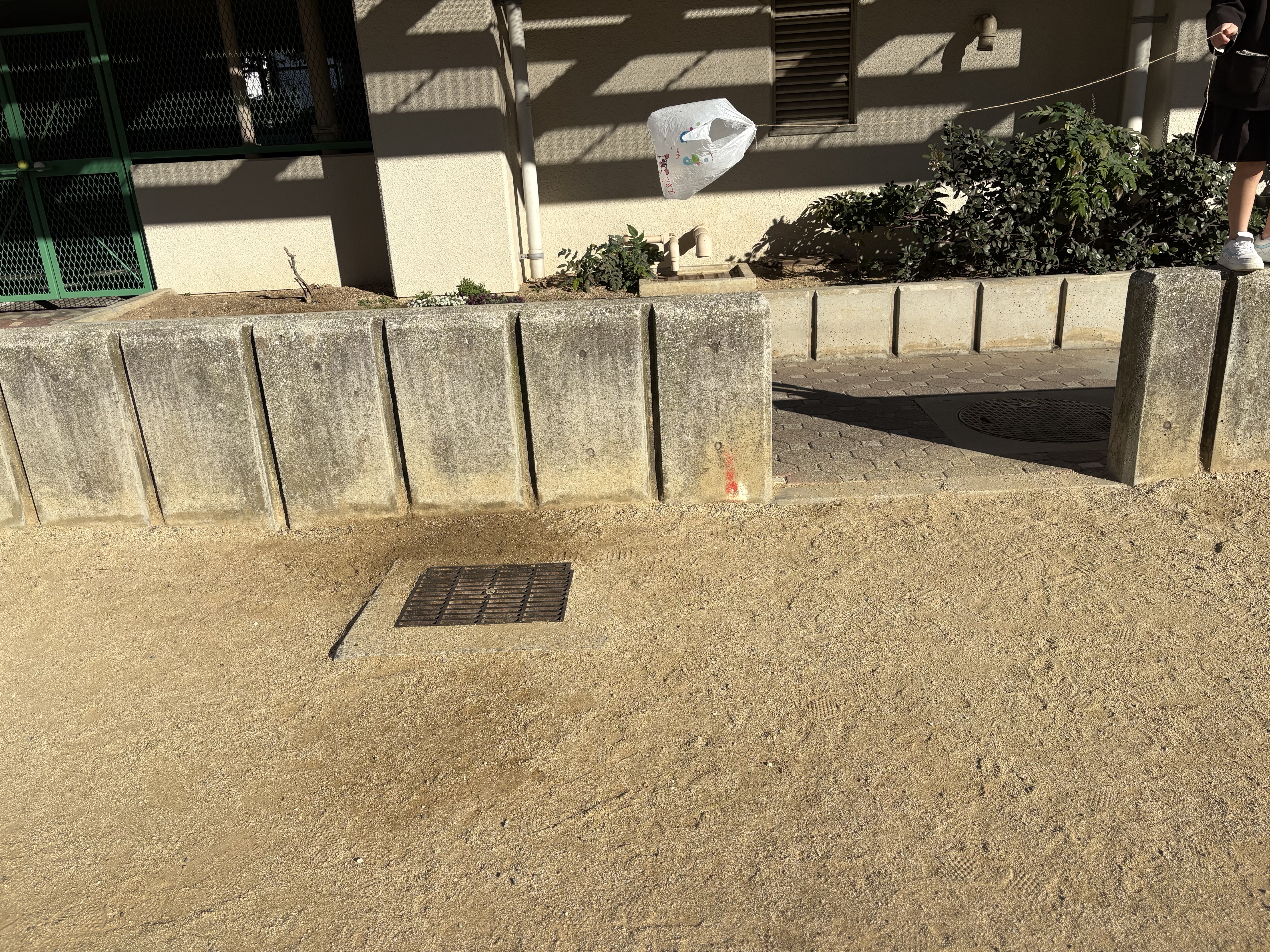 風の向きや、強さを肌で感じながら、自分の凧が舞い上がる喜び。