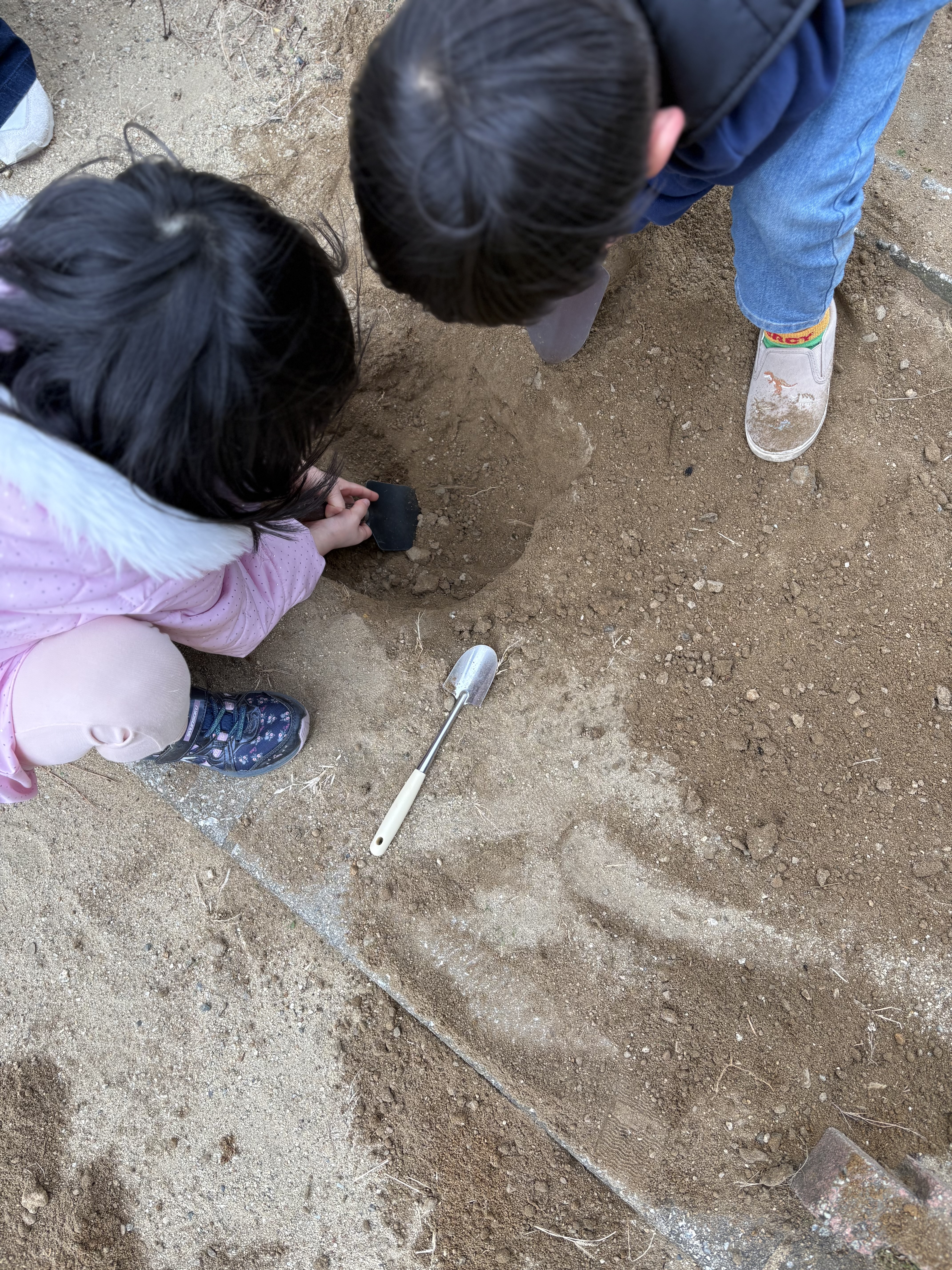 「小さな冒険家、地面を穿つ。」

冷たい土も関係なし！シャベルを握りしめ、宝物を探すように深く穴を掘り進める真剣な横顔。