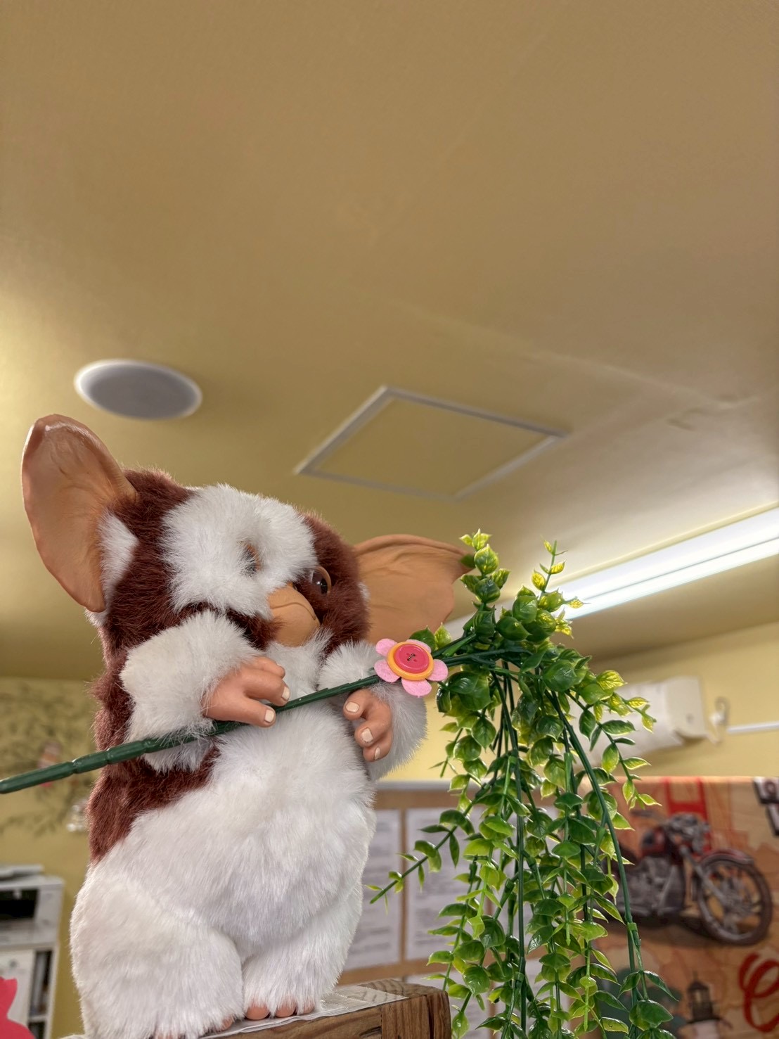 【ワクワクの店内】色とりどりの駄菓子を前に目を輝かせる様子。