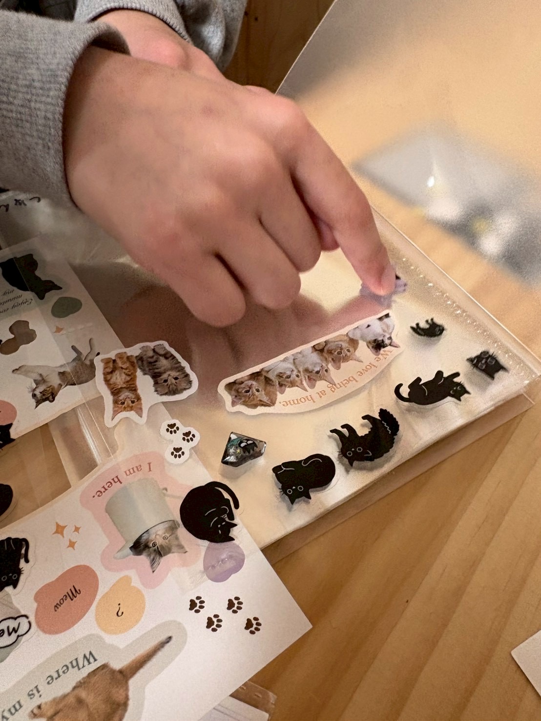 僕は猫のシールにして良かったと喜ぶ男の子。