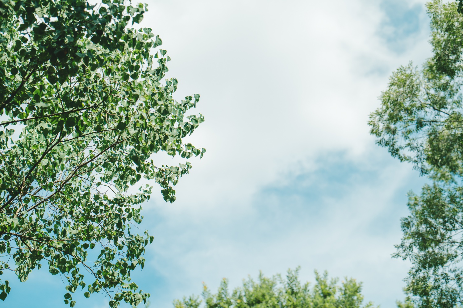 ゆっくりと空を見上げて笑顔になろうと呼びかけている写真。