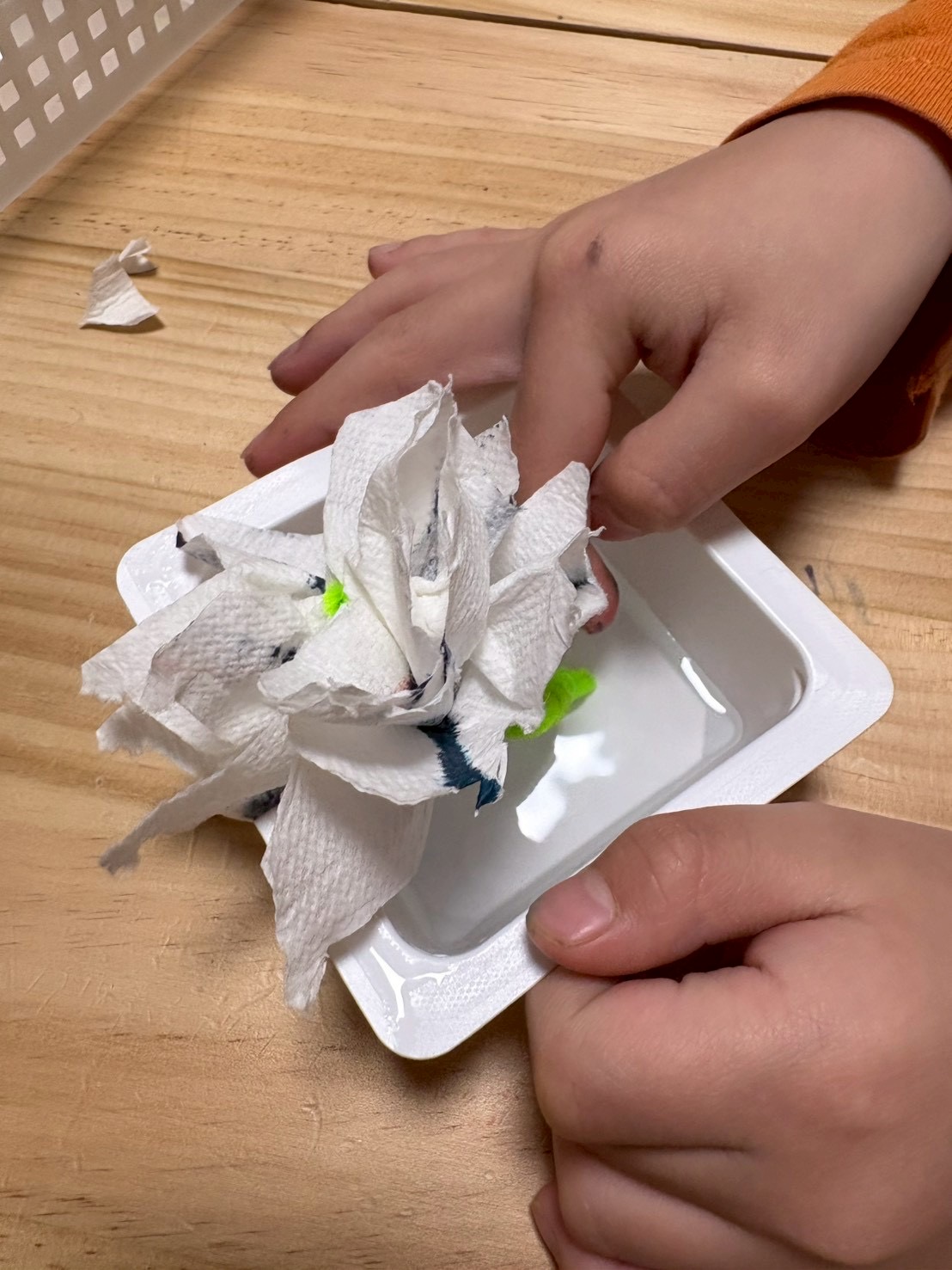 「じわじわ……色がのぼり始めた！」

毛細管現象で、色が上へ上へと吸い上げられていくダイナミックな接写。