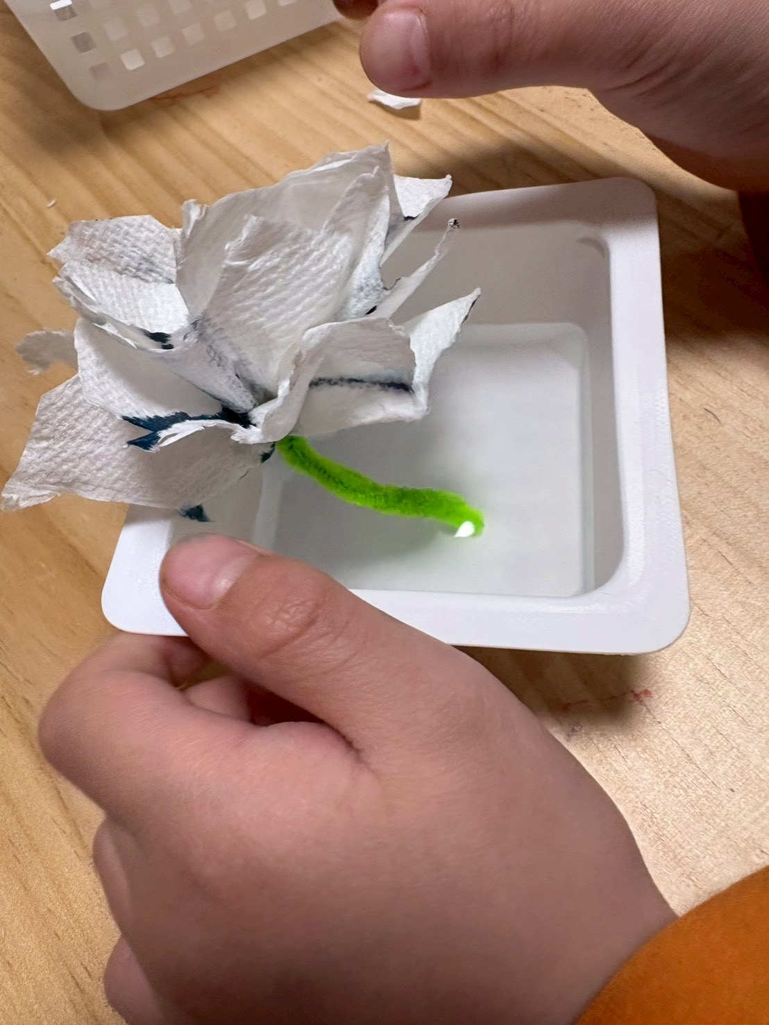 「色が混ざる、グラデーションの奇跡。」

青と黄色が溶け合い、新しい「緑」が生まれる瞬間。色の変化に驚く瞳。