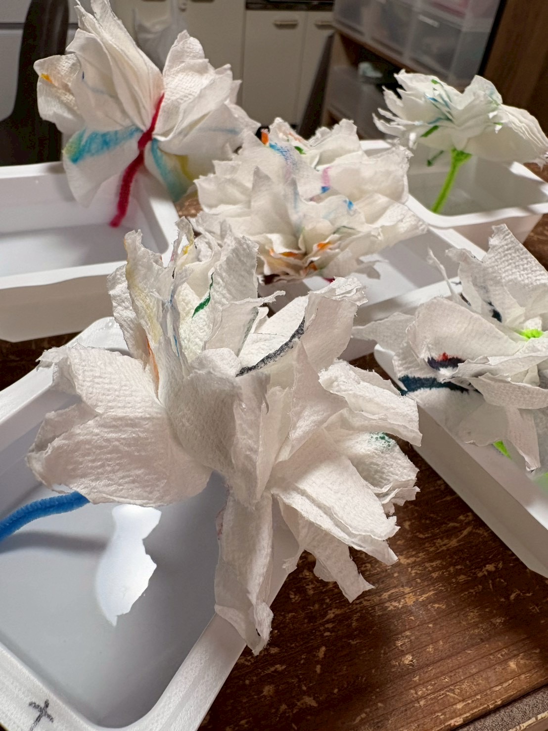 「模様が伸びていく、不思議な形。」

描いた線が水によって形を変え、お花のような模様に育っていくプロセスの記録。