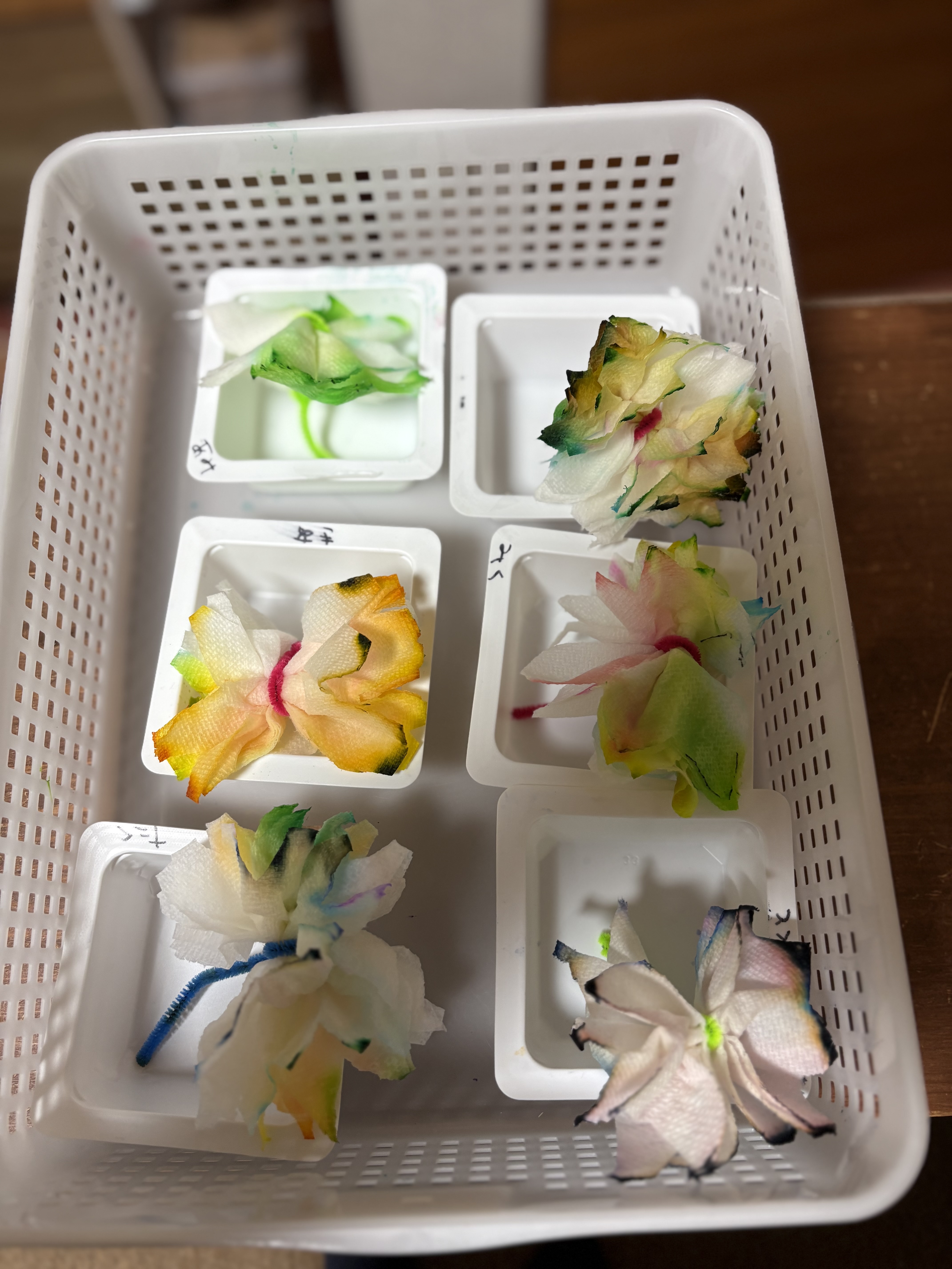 「スレタン・フラワーチーム、満開の笑顔！」

お花をマイクのように持って、スタッフと一緒に「咲いたよー！」とポーズを決めるラスト。