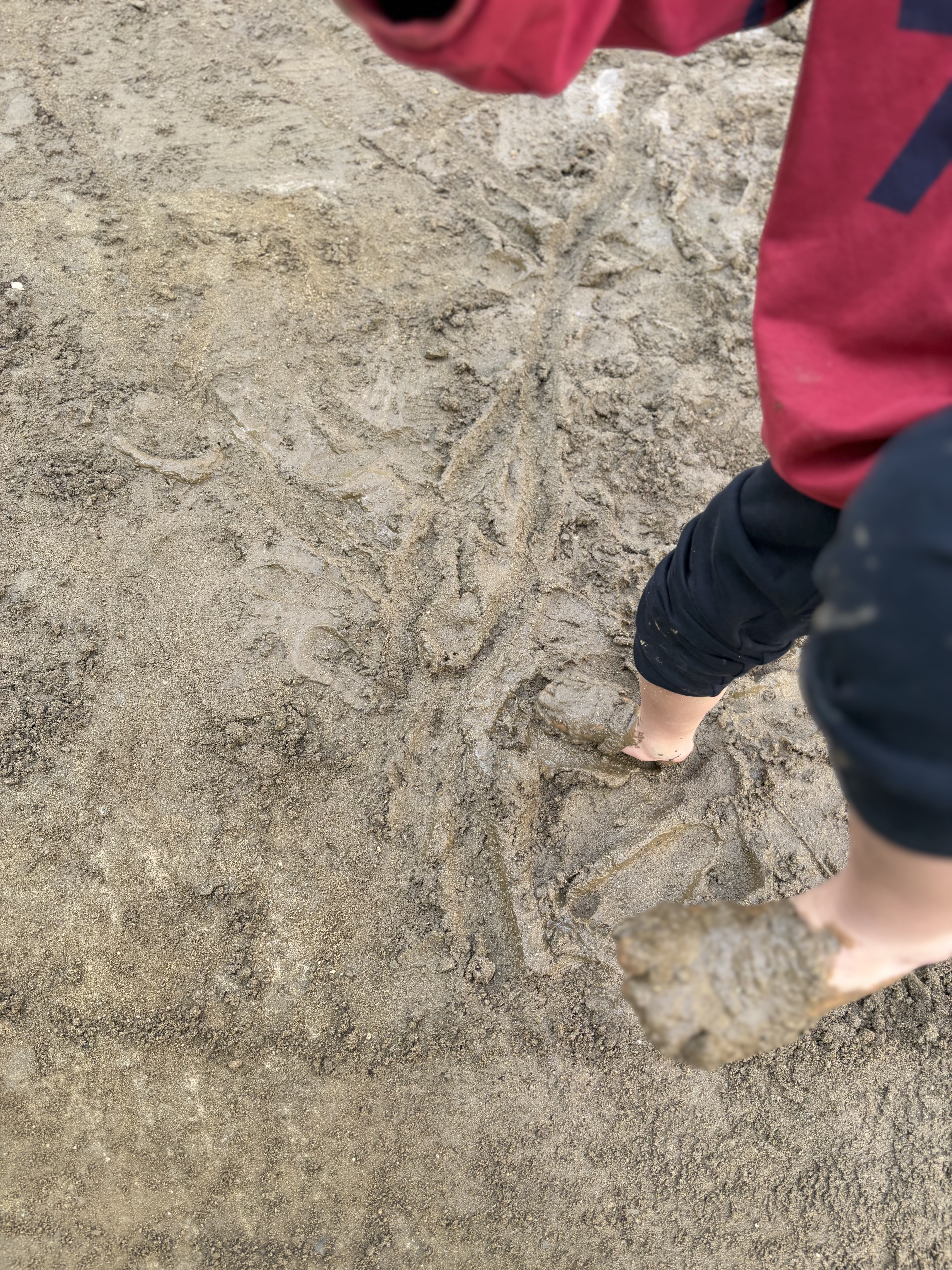 「泥の感触、五感のフル活用。」
泥の中に手をズボッと入れ、ひんやりした感触に「おぉっ!」と目を輝かせる瞬間。脳に刺激を与える「感覚遊び」の原風景。