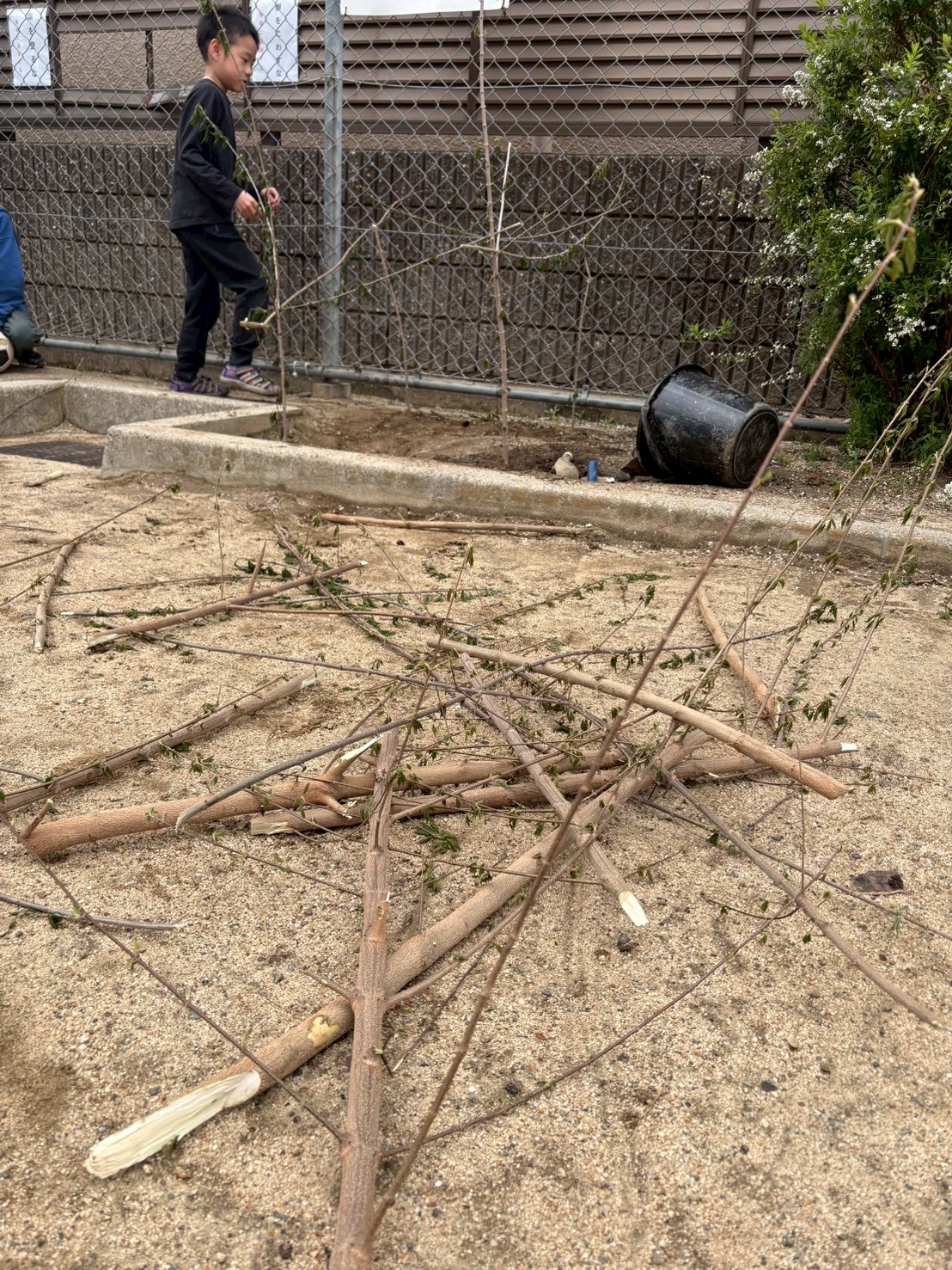 「ハンターの眼差し、枝選び。」

公園の地面を這うように見つめ、焚き火に最適な「ちょうどいい枝」を選別する真剣な表情。