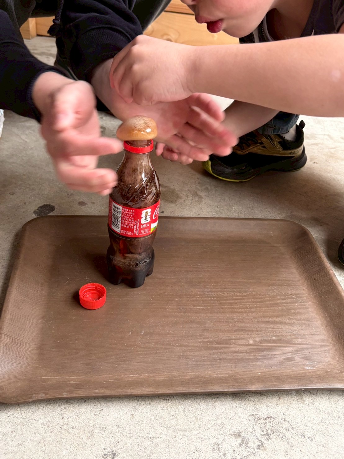 「泡の柱、高さに挑戦！」

噴き上がった泡を横から観察。どれくらい高く飛んだか、身を乗り出して見る好奇心。