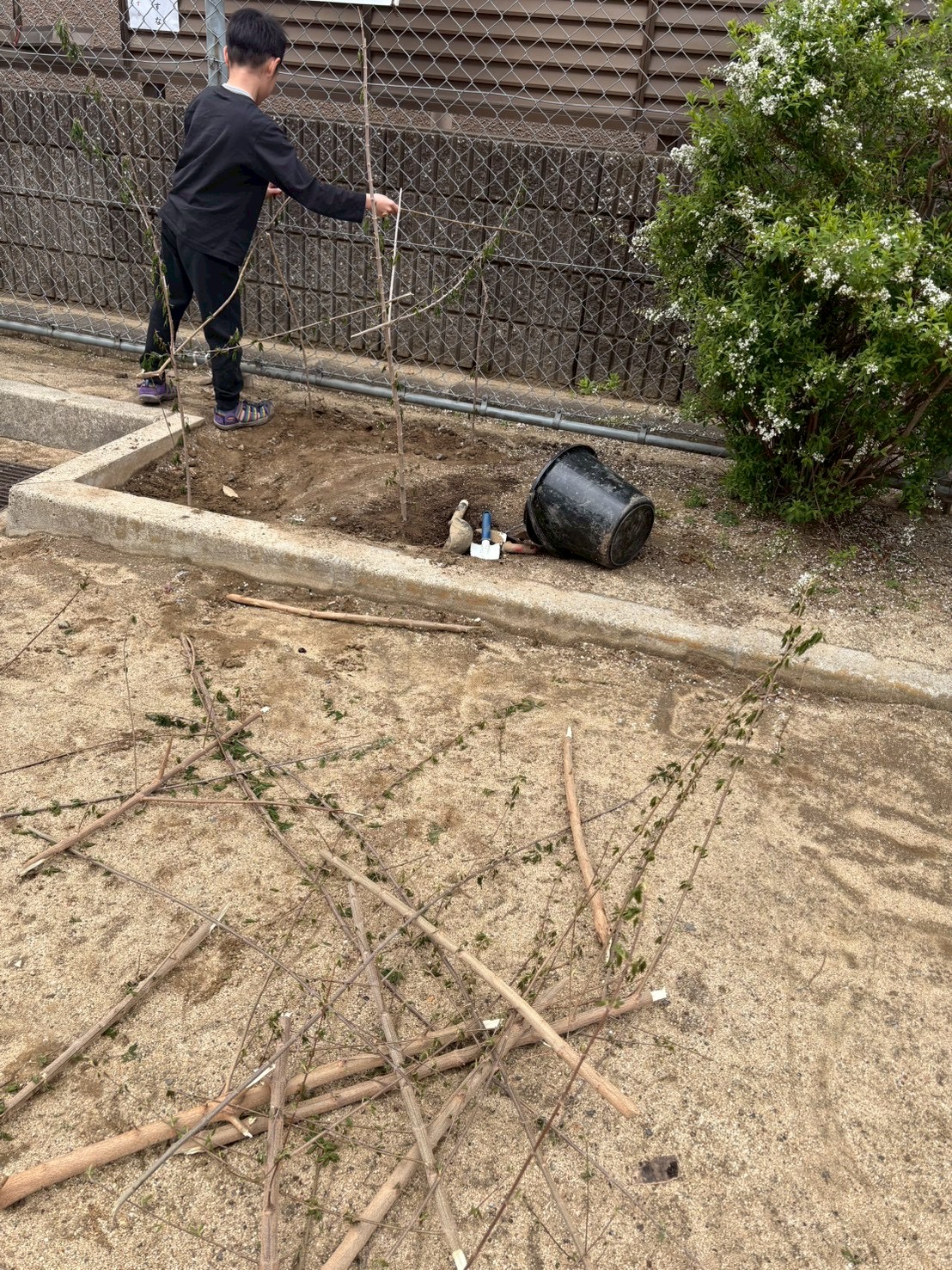 「バケツいっぱいの、秋の恵み。」

集めた小枝や葉っぱを大事そうに持ち運ぶ、素材への愛着が伝わるカット。