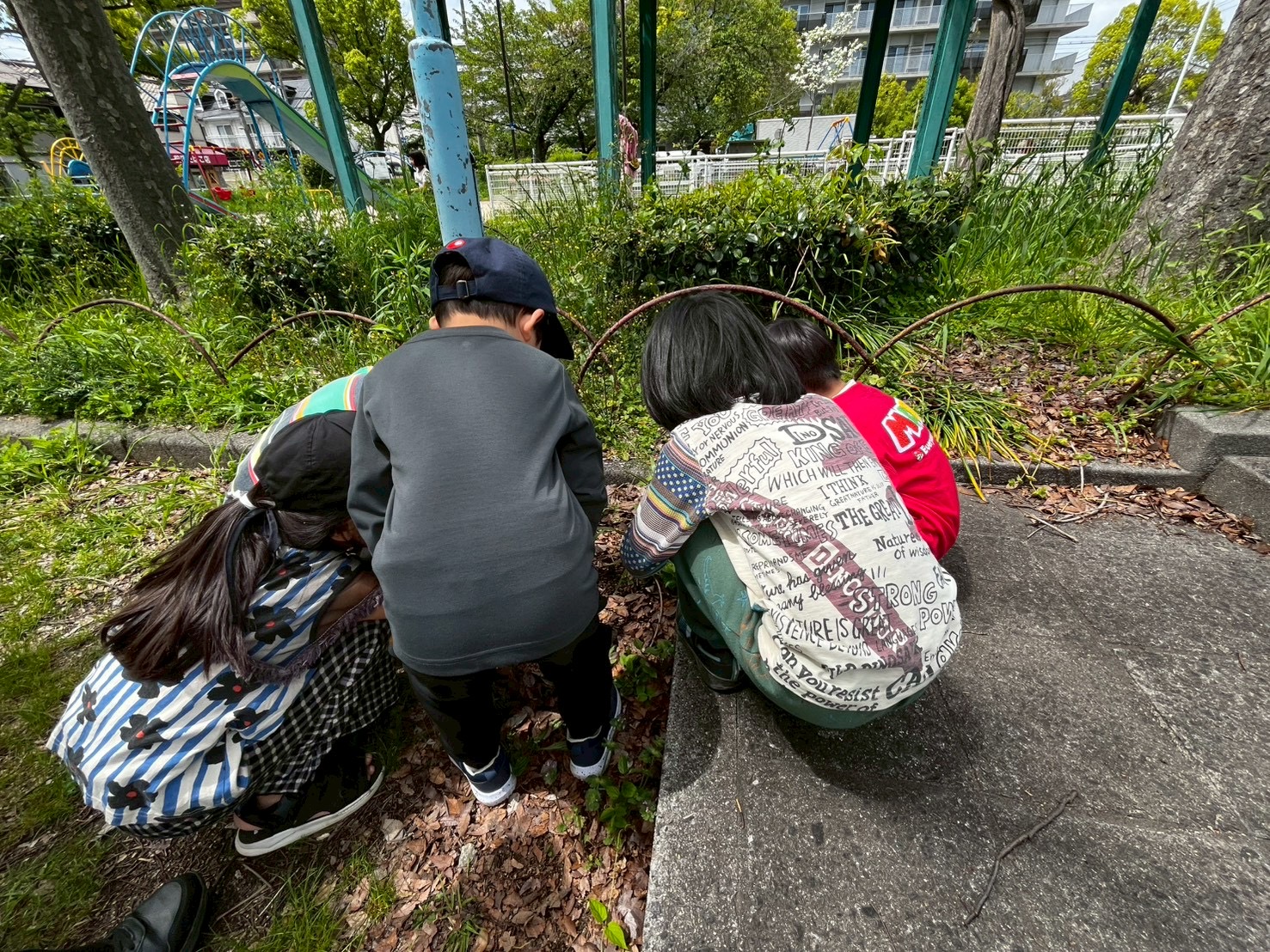 木陰で見つけた、春の息吹。」

足元のクローバーや木々の緑を、みんなで囲んで観察する「五感の探求」シーン。