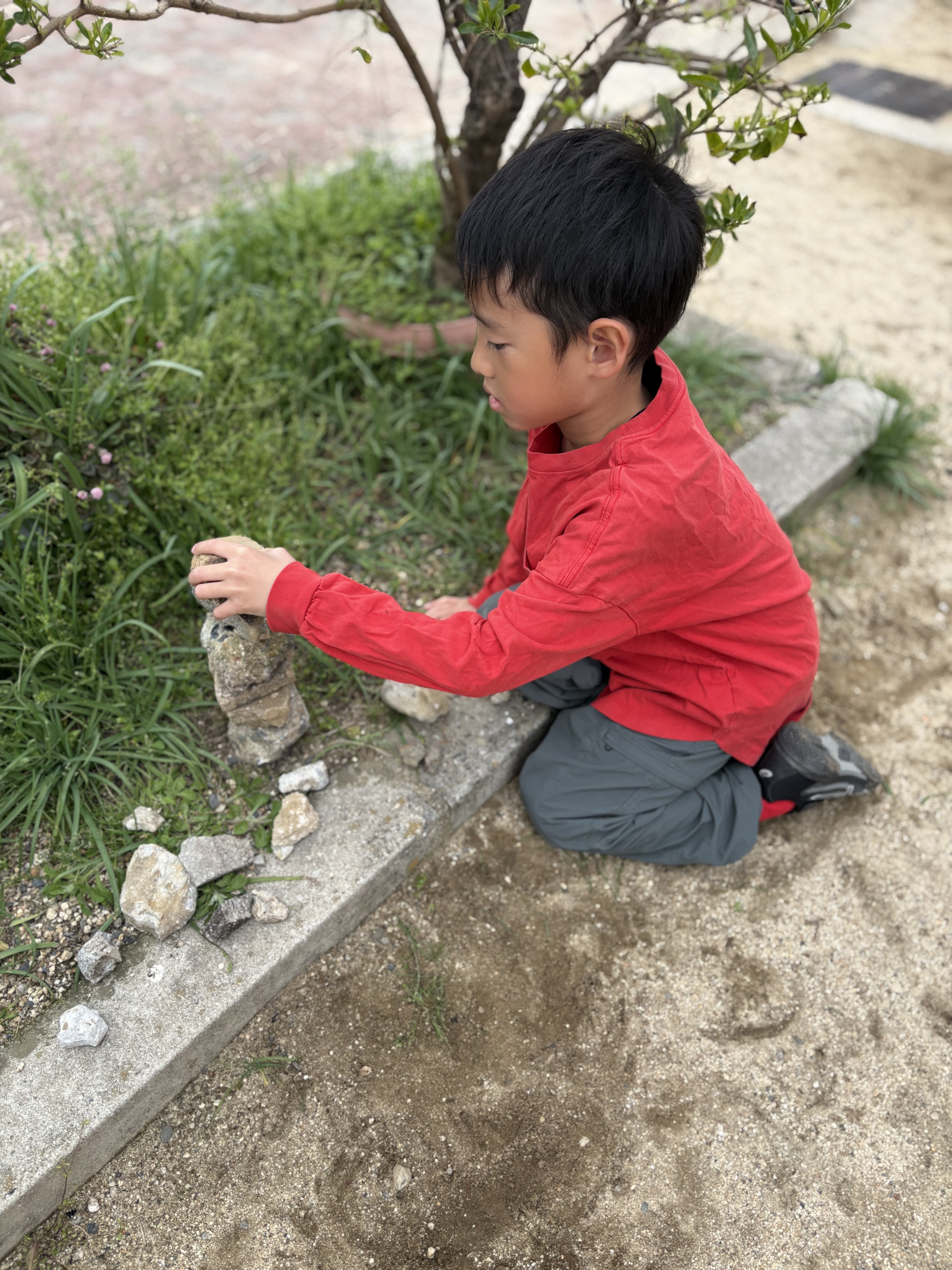 「庭の隅、宝物の石探し。」
地面をじっと見つめ、積みやすそうな石、面白い形の石を真剣に選ぶ導入の1枚。