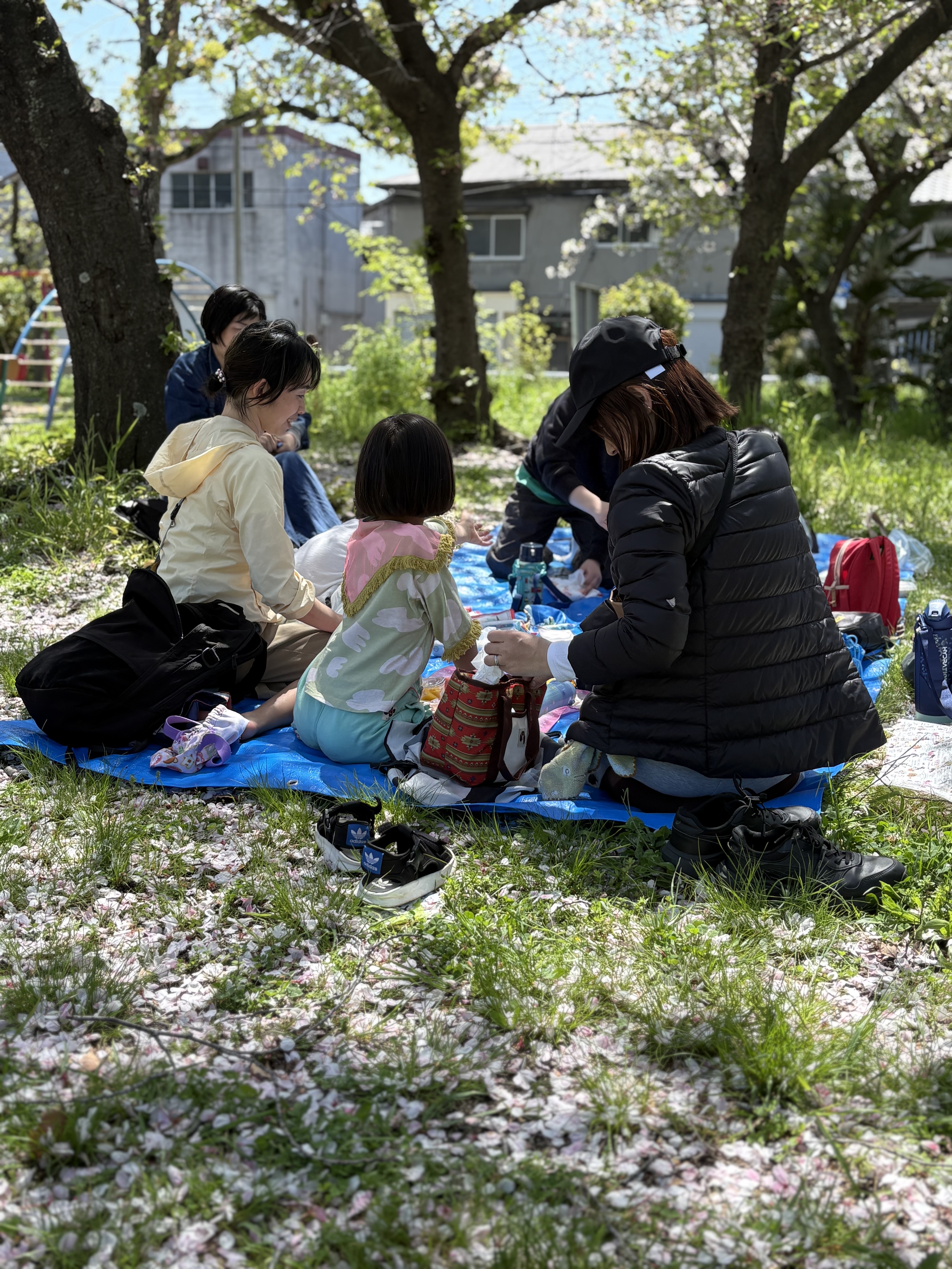 「食後の、のんびりタイム。」

食べ終えて、桜の下でゴロンと横になり、空を見上げるリラックスしたひととき。