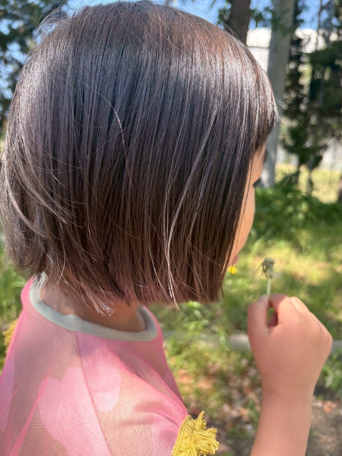 「たんぽぽの綿毛、発射準備。」

綿毛をそーっと口元に寄せ、ふぅーっと吹く瞬間の「全集中」の表情。