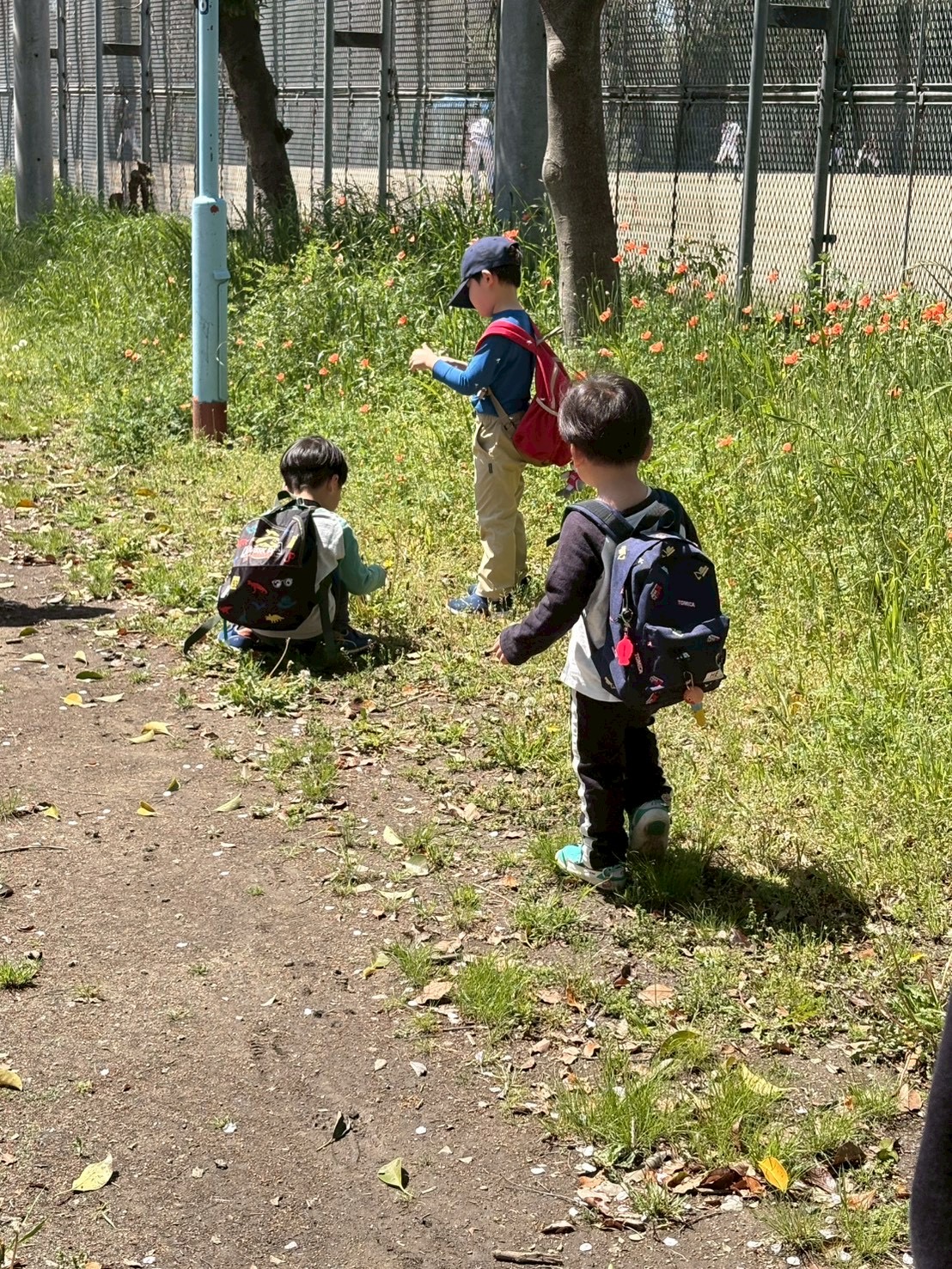 こっちにも、あっちにも木がある。たんぽぽがあると嬉しそうにコミュニケーションをとる未就学児。