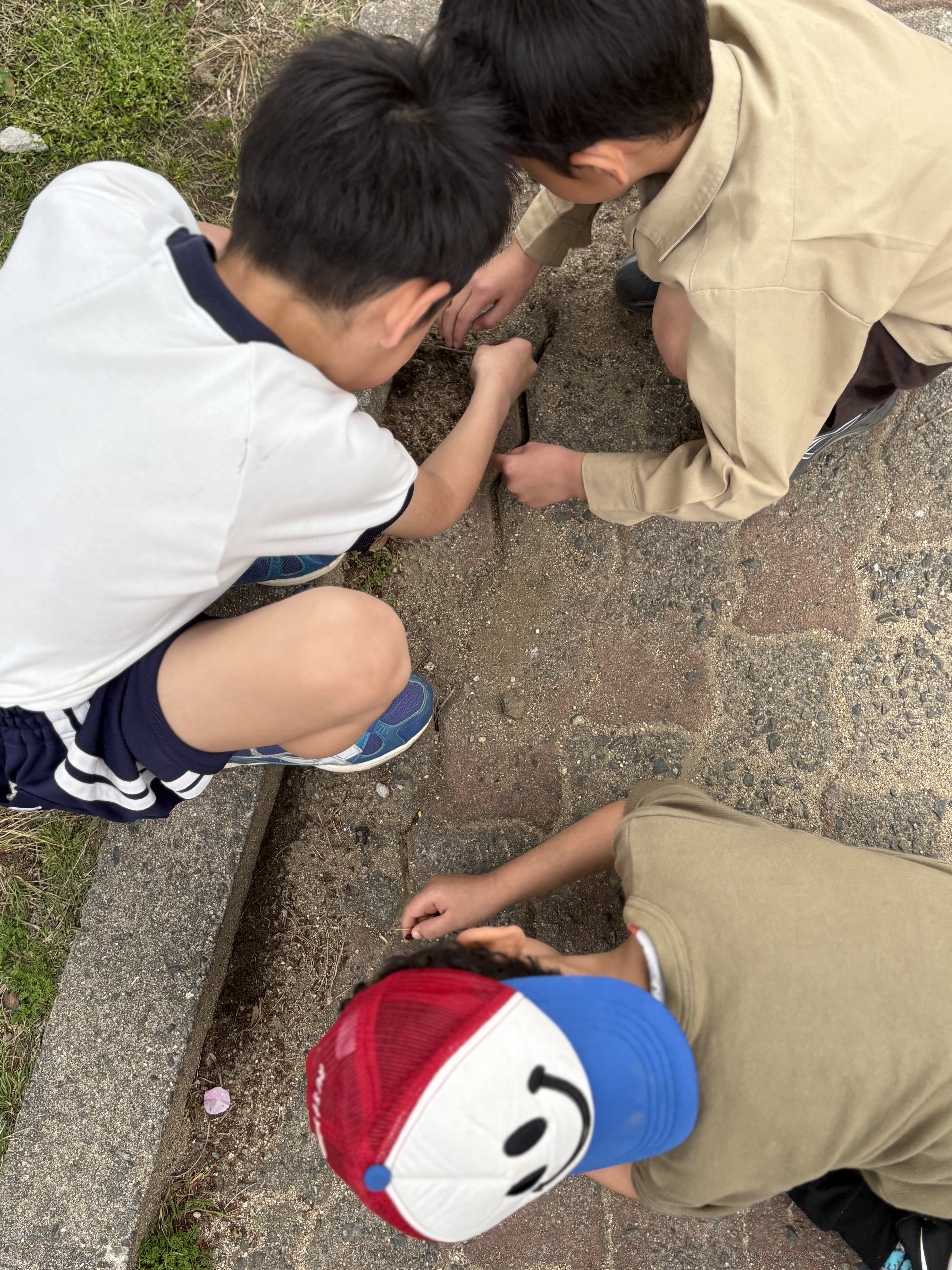 「探検開始！地面に這いつくばる冒険家。」

公園の隅っこで、お尻を高く上げて地面を覗き込む、やる気満々の後ろ姿。