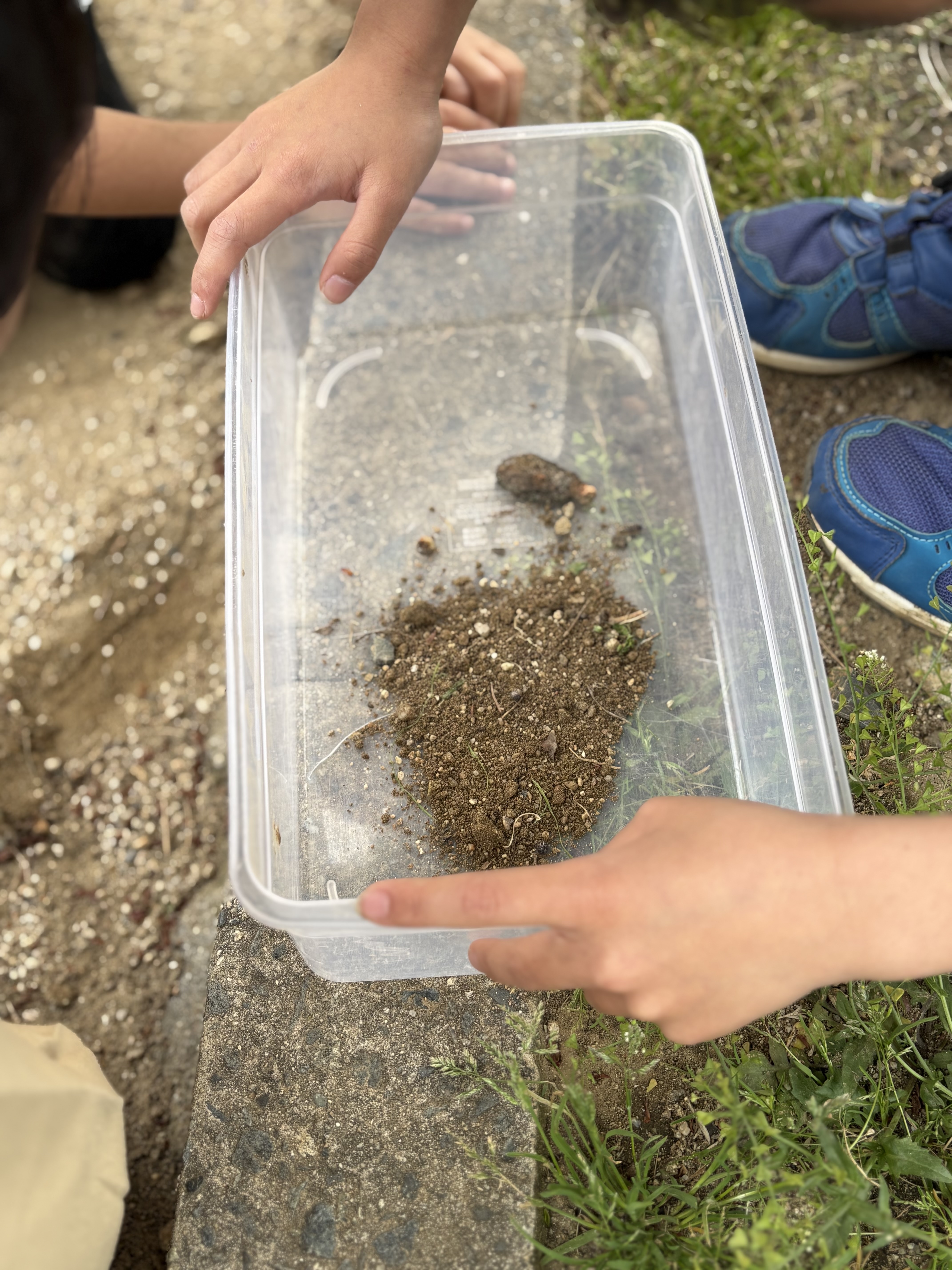 「土の中から、こんにちは。」

ミミズをそっと指でつつき、「柔らかいね！」と土の質感を楽しむ、感覚統合の瞬間。