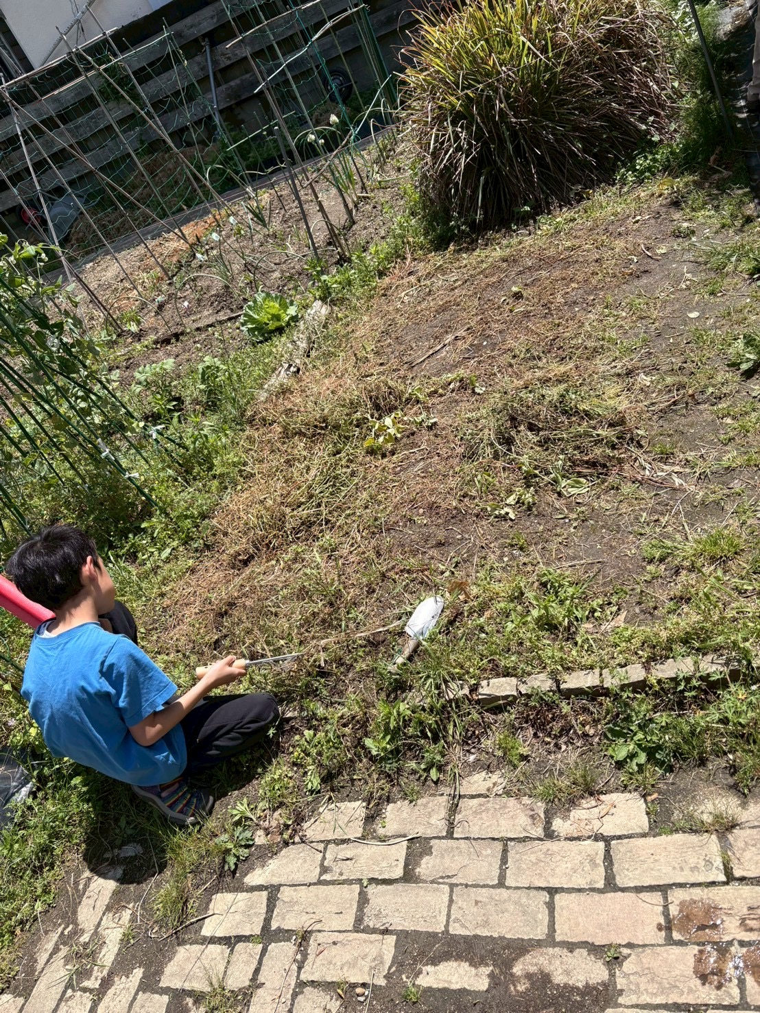 「大きなクワに、全集中！」

自分の体より大きなクワを、両手でしっかり握って振り下ろす瞬間の力強い表情。