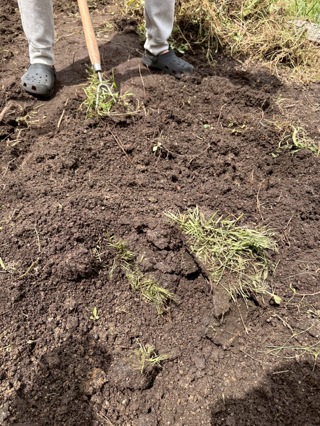 「草に覆われた、始まりの場所。」

作業前の、まだ少し荒れた地面。ここからどう変わるのか、ビフォーの状態を記録した1枚。