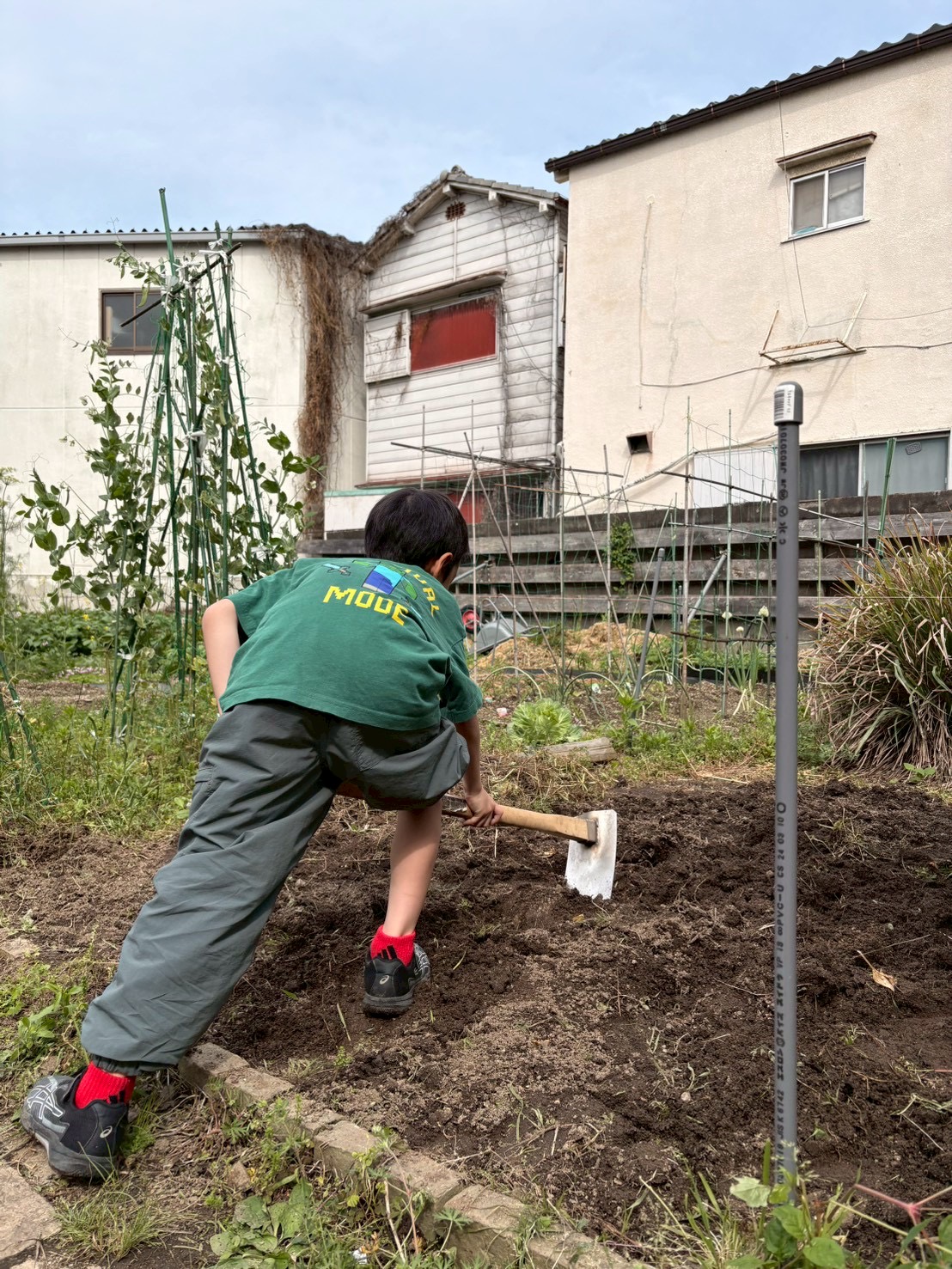 「何を作る？青空作戦会議。」

畑の横に座り込んで、「トマトがいい！」「ナスは？」と、苗選びの図鑑を広げる知的好奇心。