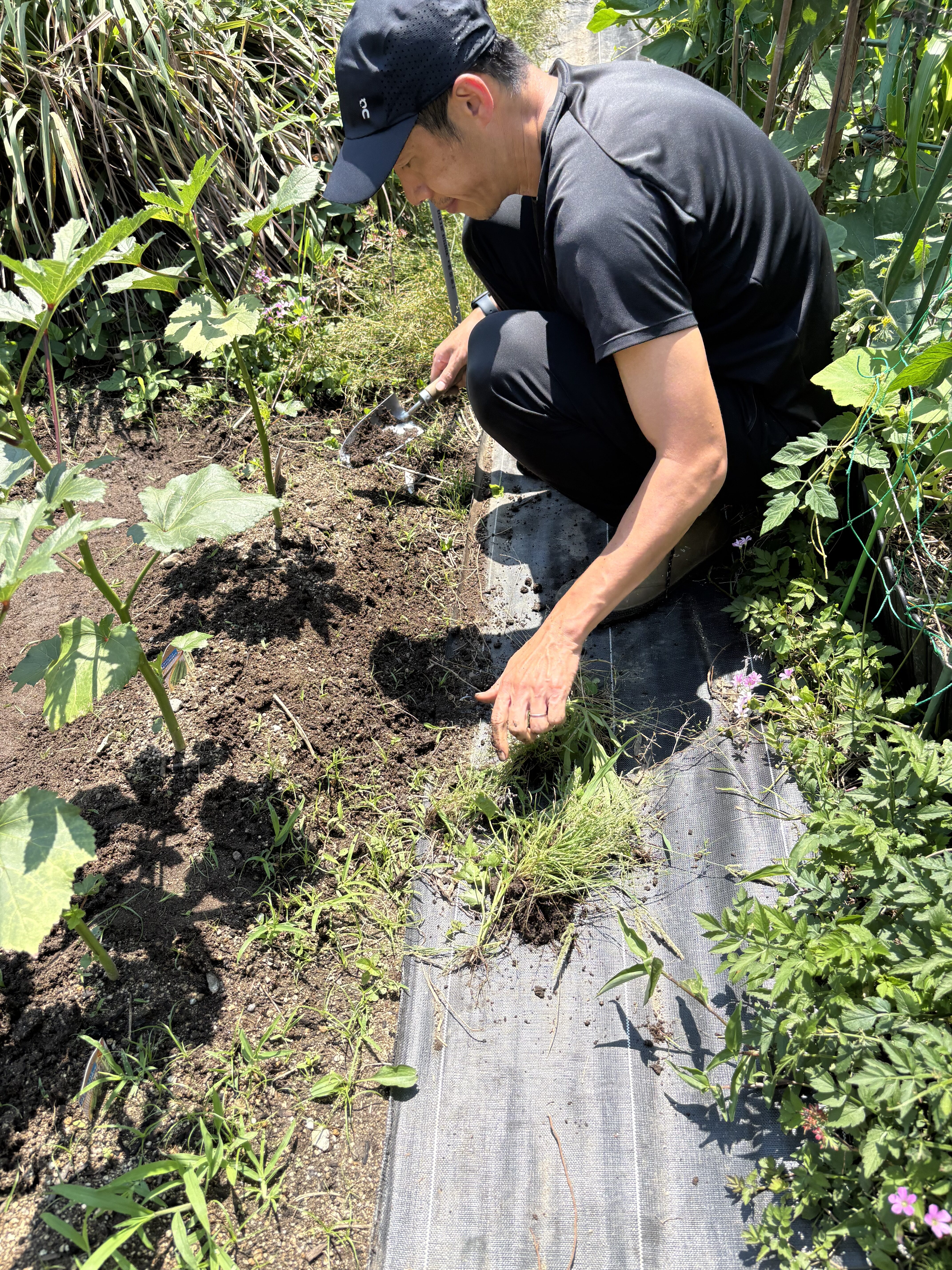 「抜いた雑草は、カゴへまとめてポイ!」
集めた雑草を両手で抱え、指定の木箱やカゴへと上手に運んで片付ける、整理整頓・役割意識のワーク。