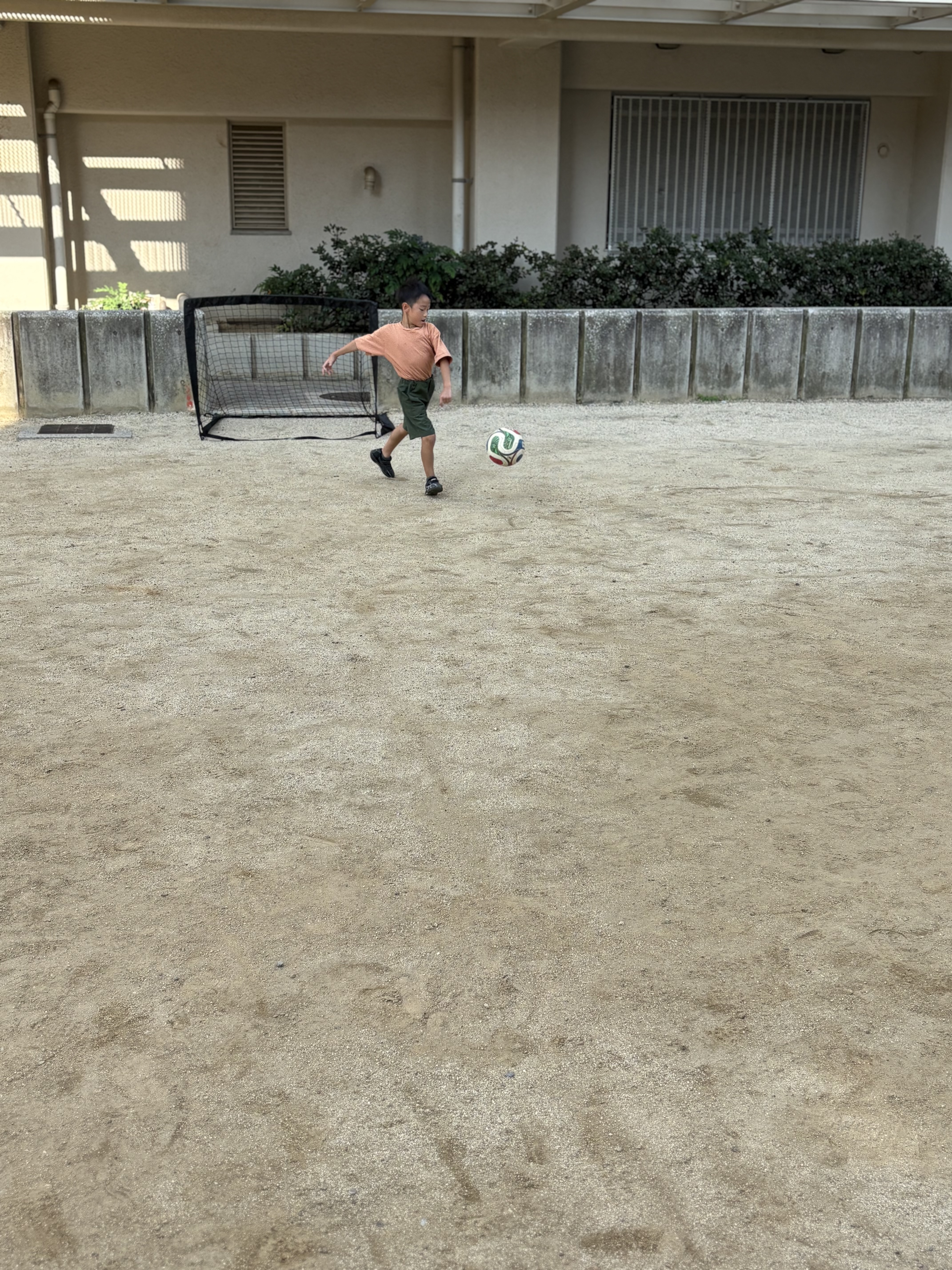 ボールをしっかりと見て、体を合わせてボールを蹴る瞬間。空間認知。