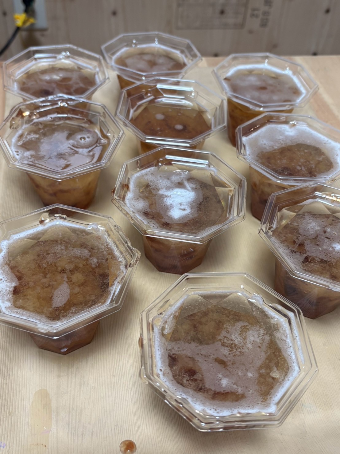 ぷるぷる涼しげ!キラキラ輝く特製ゼリーのできあがり」
盛り付けを終え、光を浴びて涼しげに輝く出来立てゼリーのクローズアップ写真。