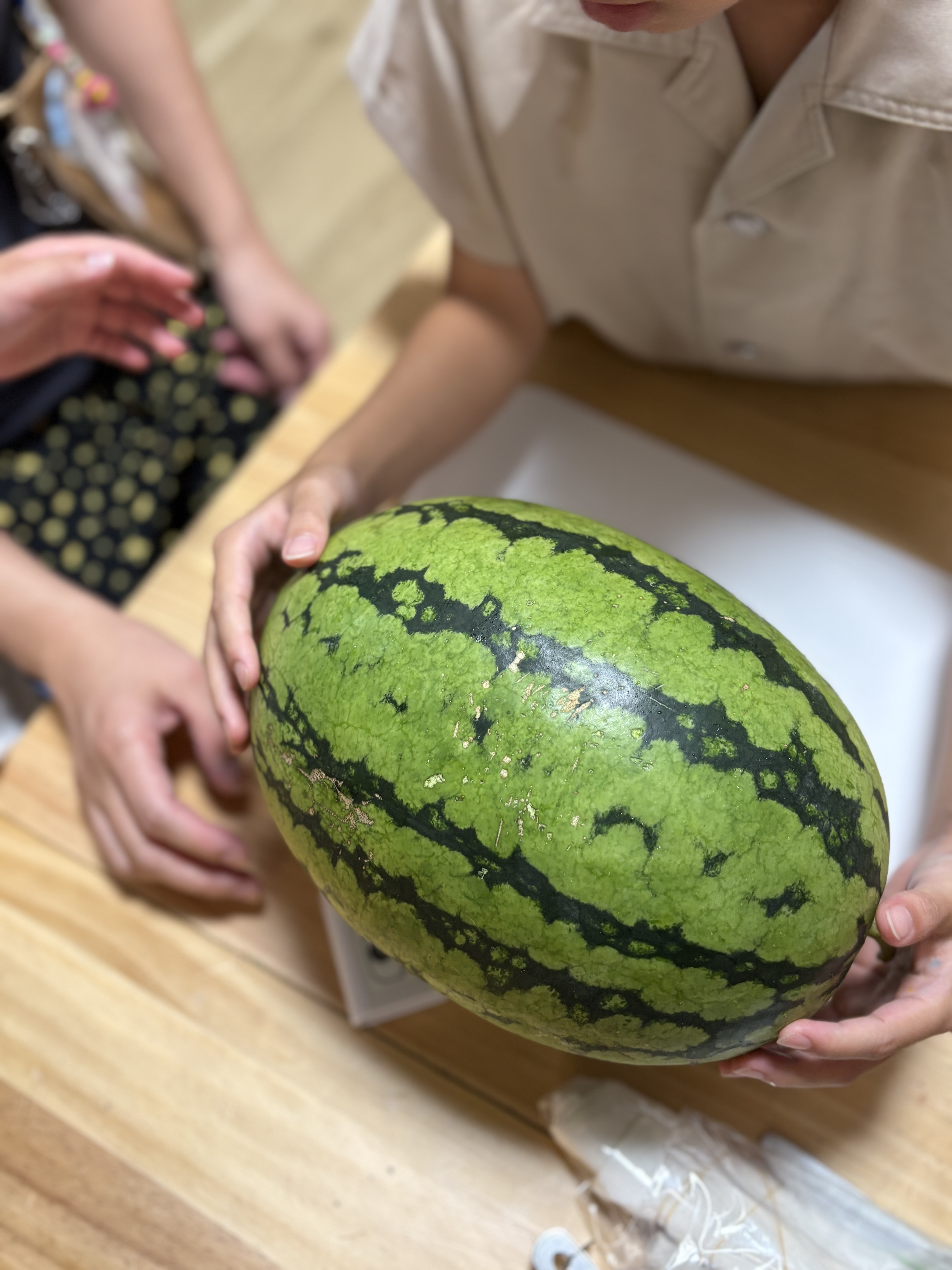 「『ついに収穫！』ファームで実ったズッシリ重い大物スイカ」
ファームで収穫した立派なスイカを、子どもたちが「重〜い！」とうれしそうに両手で抱えるカット。