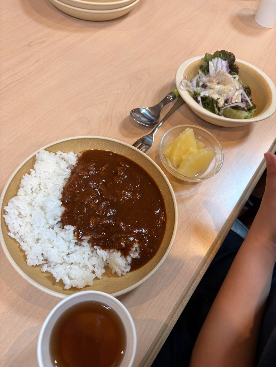 「『わあぁ、美味しそう〜!』彩り豊かな特製カレーライスランチ」
ほかほかのカレーライス、彩り鮮やかなサラダやフルーツ、お茶が綺麗に並んだ美味しそうなプレートのアップショット。
