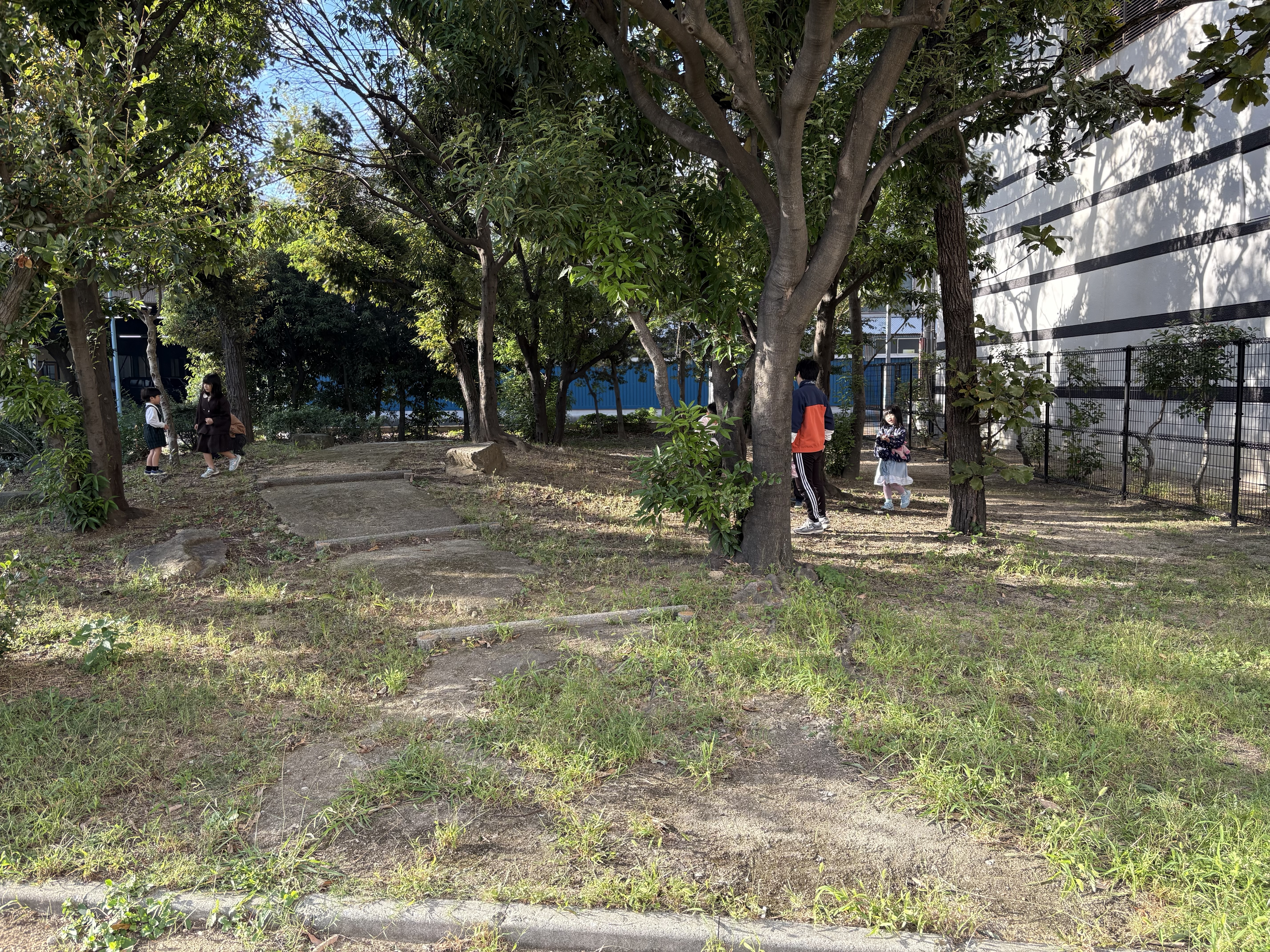 🍂🏃♂️ 【わくわく】秋の公園探検!自然との出会いと【笑顔】の鬼ごっこ