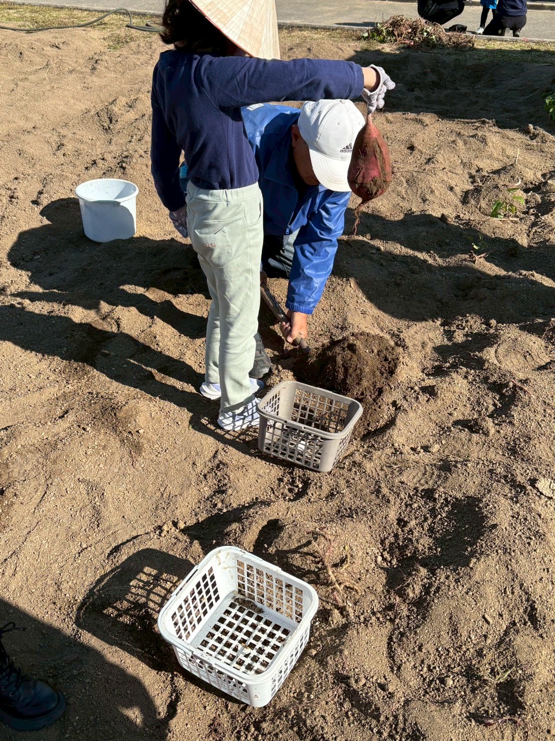 🍠✨ 【報告】親子で芋掘り体験に行ってきました！土と笑顔が溢れた最高の1日！💖