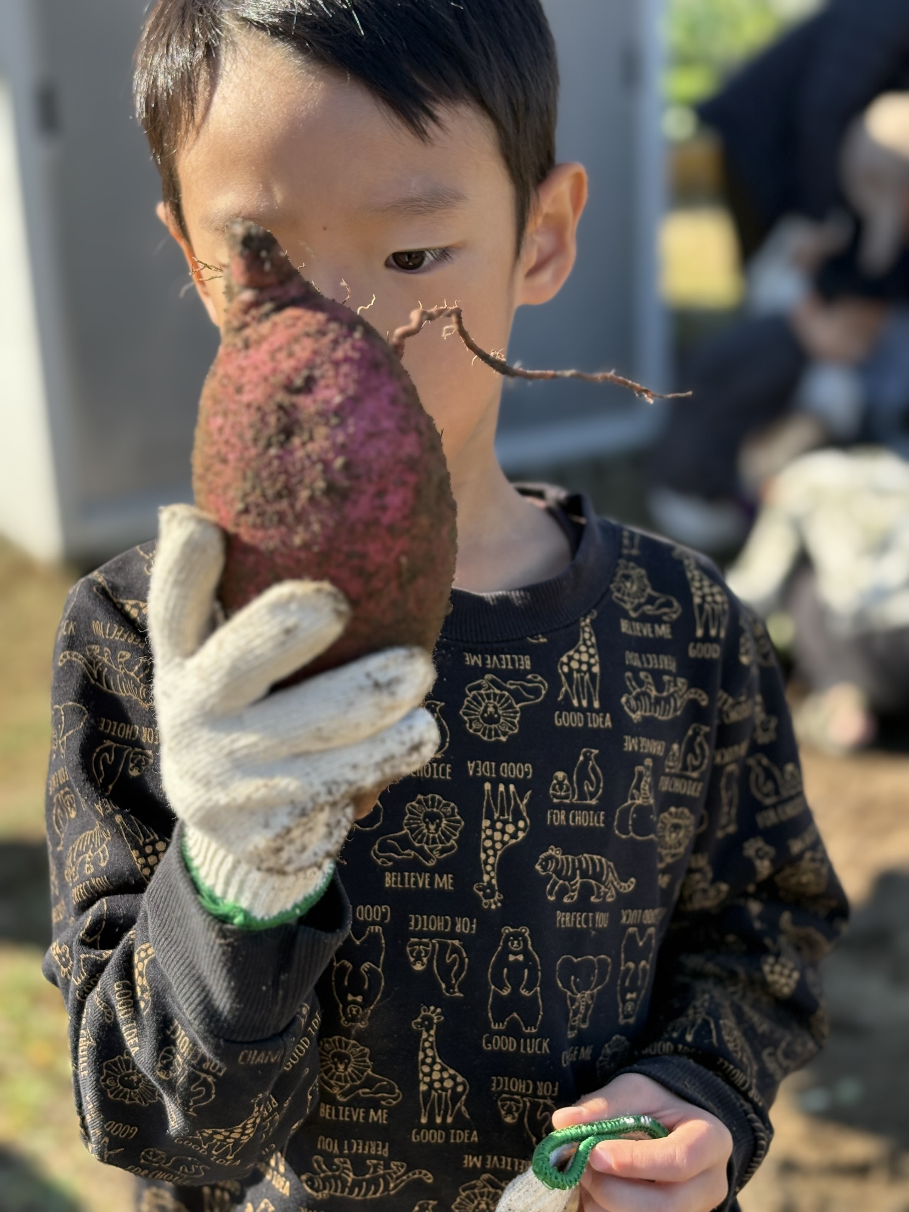 🍠🔪😋 【療育レポート完結編】畑→調理→会食！五感と生活スキルを育む最高の収穫祭🎉💖