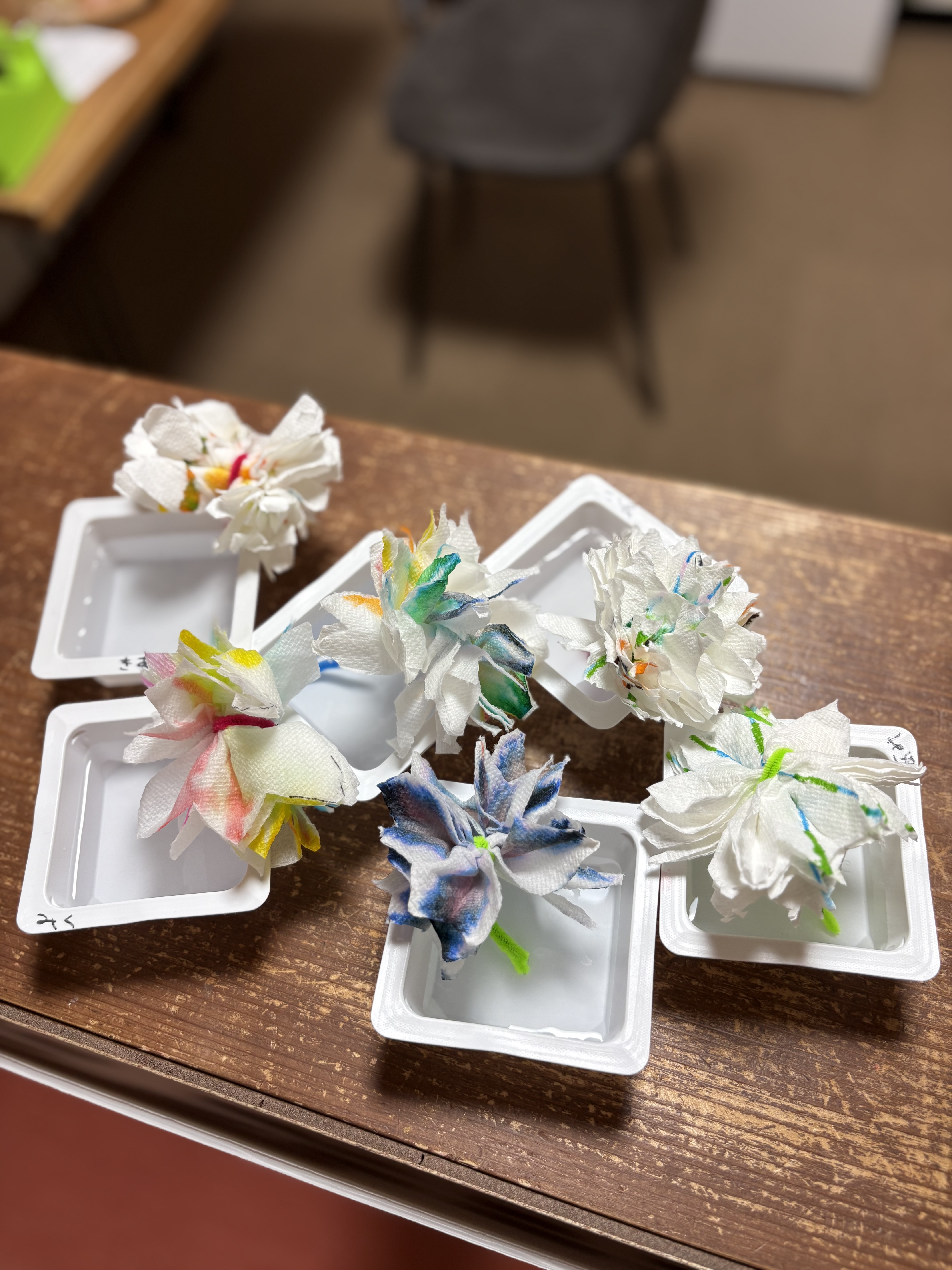 水を含んで、パッと咲いた！スレタンハウスに現れた、不思議な「魔法のお花畑」🌼💧