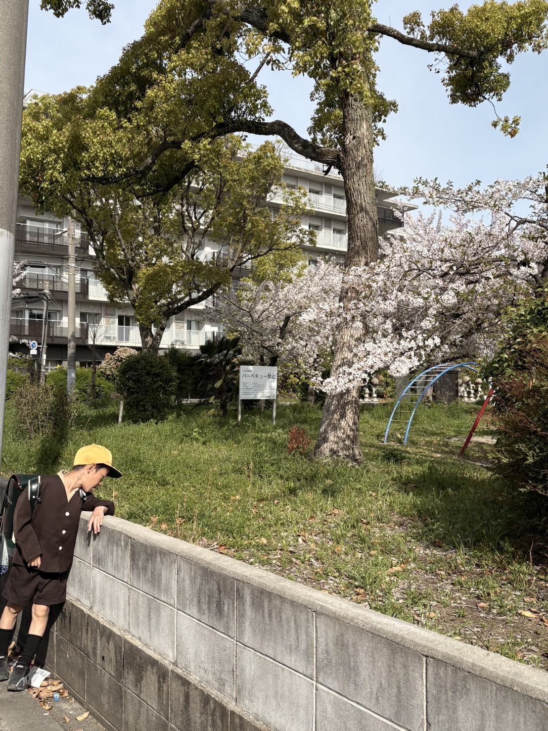 学校に行きたくない。その不安に寄り添いたいお母さんへ〜「第2の家族」からのメッセージ〜