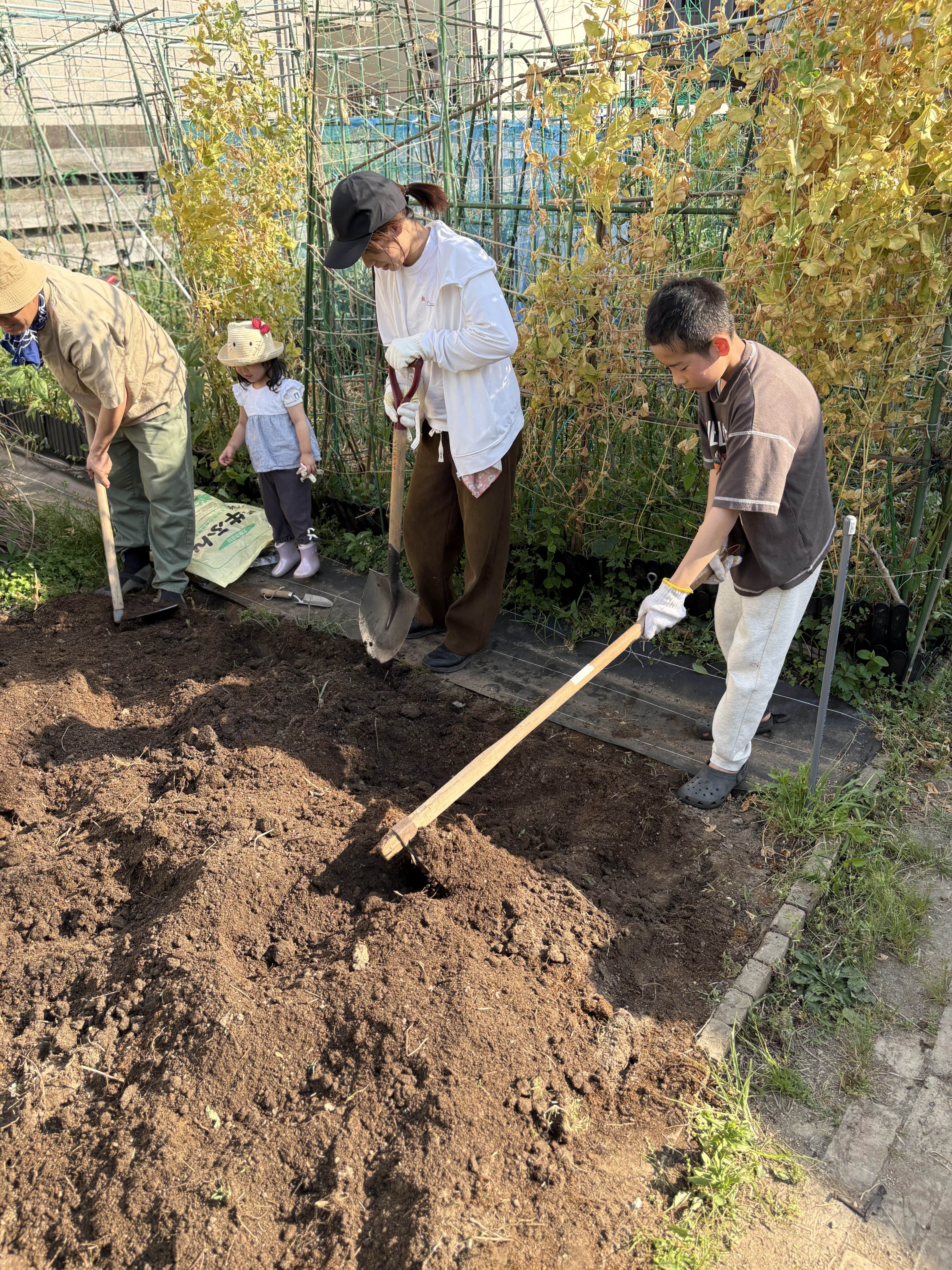 🌿 スレタンファーム本格始動！こだわりの土作りと苗植えをしました 🌱✨