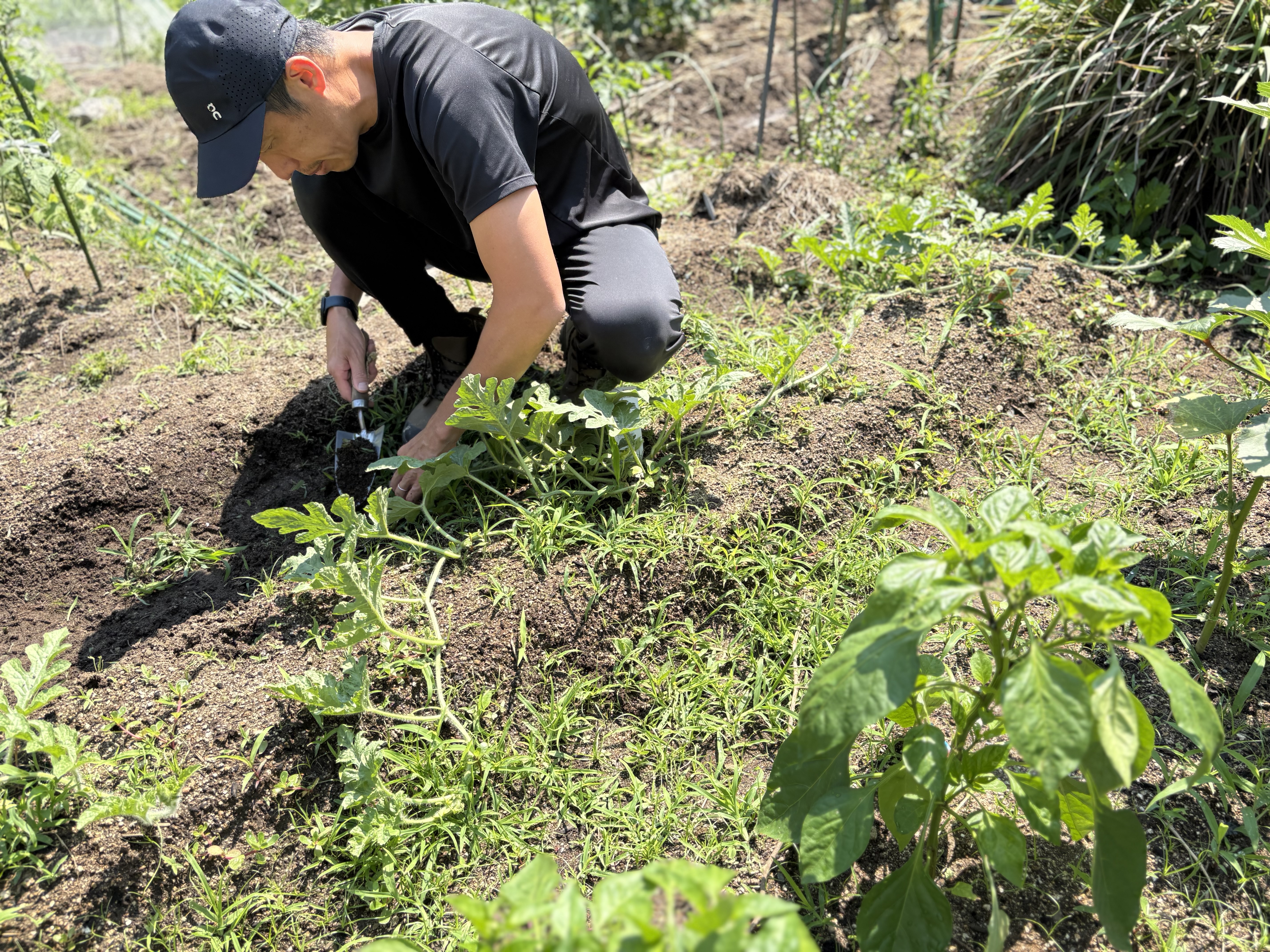 🌱 土にふれて、自然を学ぶ！スレタンファームの全力「草むしり」大作戦 ☀️🧤✨